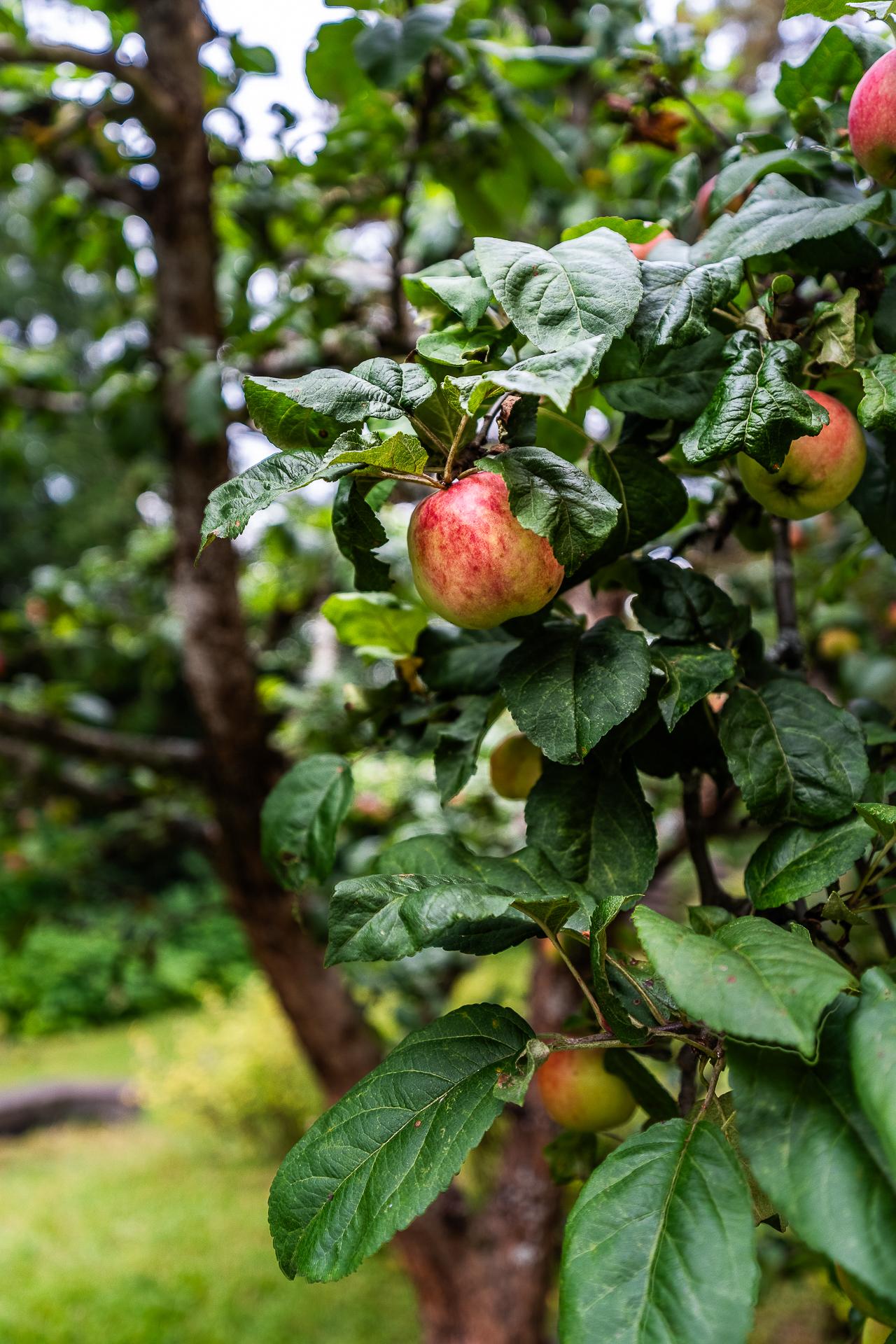 Ankkurinköysi 8, Söderkulla, Sipoo