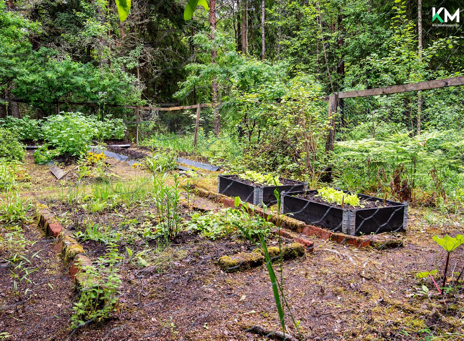 Ykkösmäentie 21, Järykselä, Lieto