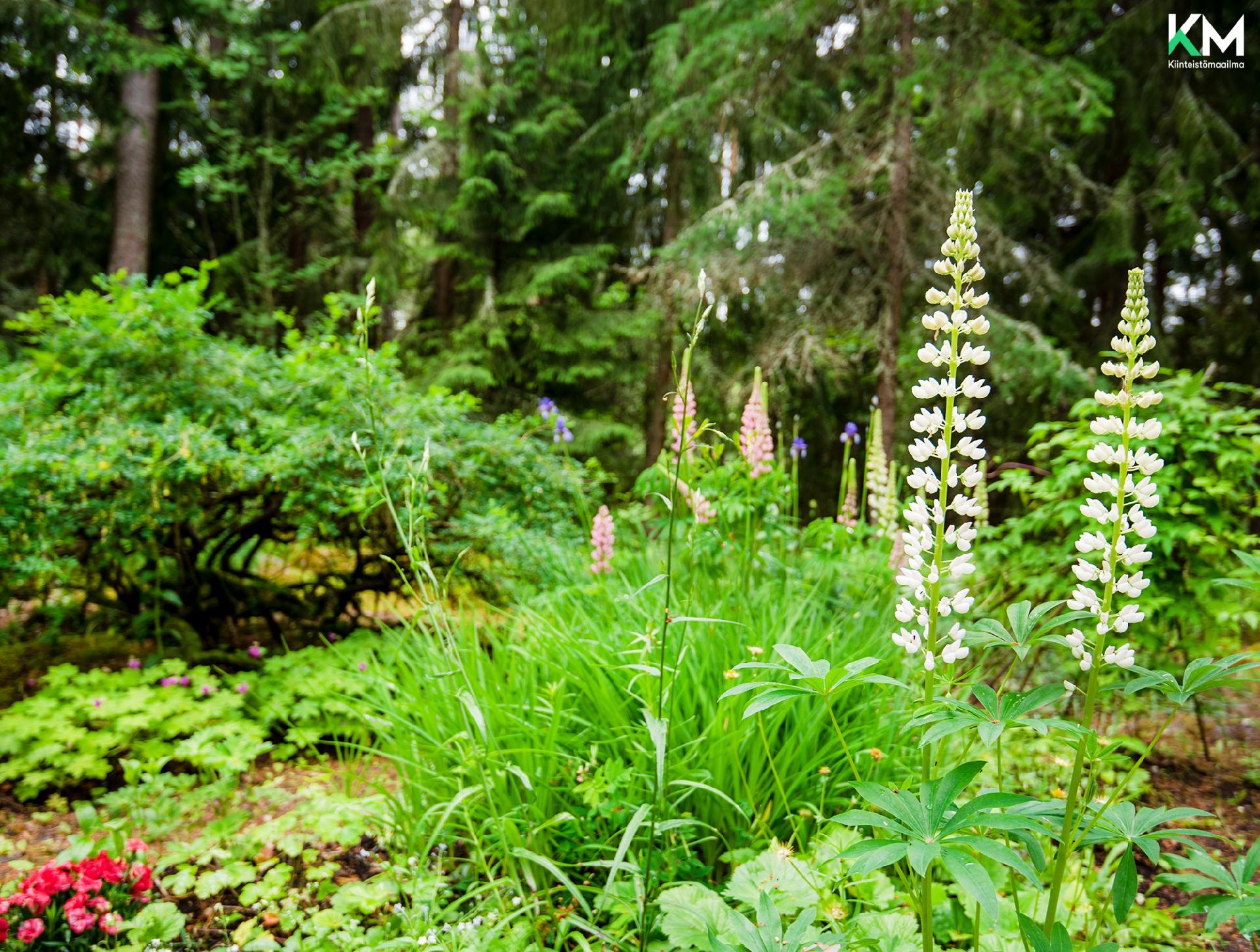 Ykkösmäentie 21, Järykselä, Lieto