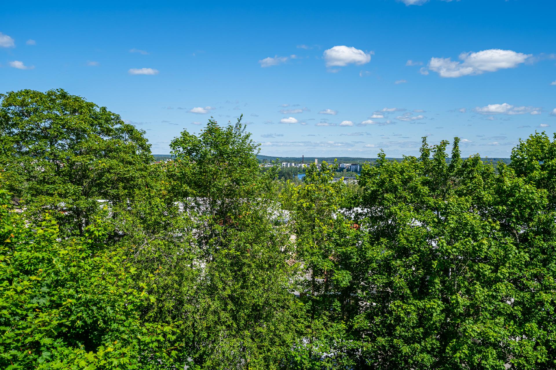 Louhimokatu 4, Myllymäki, Hämeenlinna