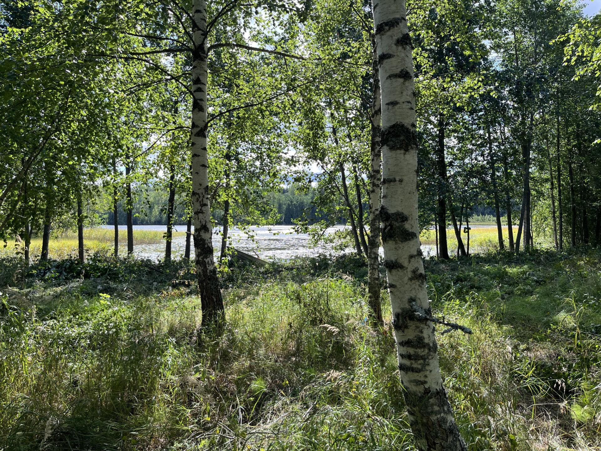 Väinöläntie 00, Arkiomaa, Hollola