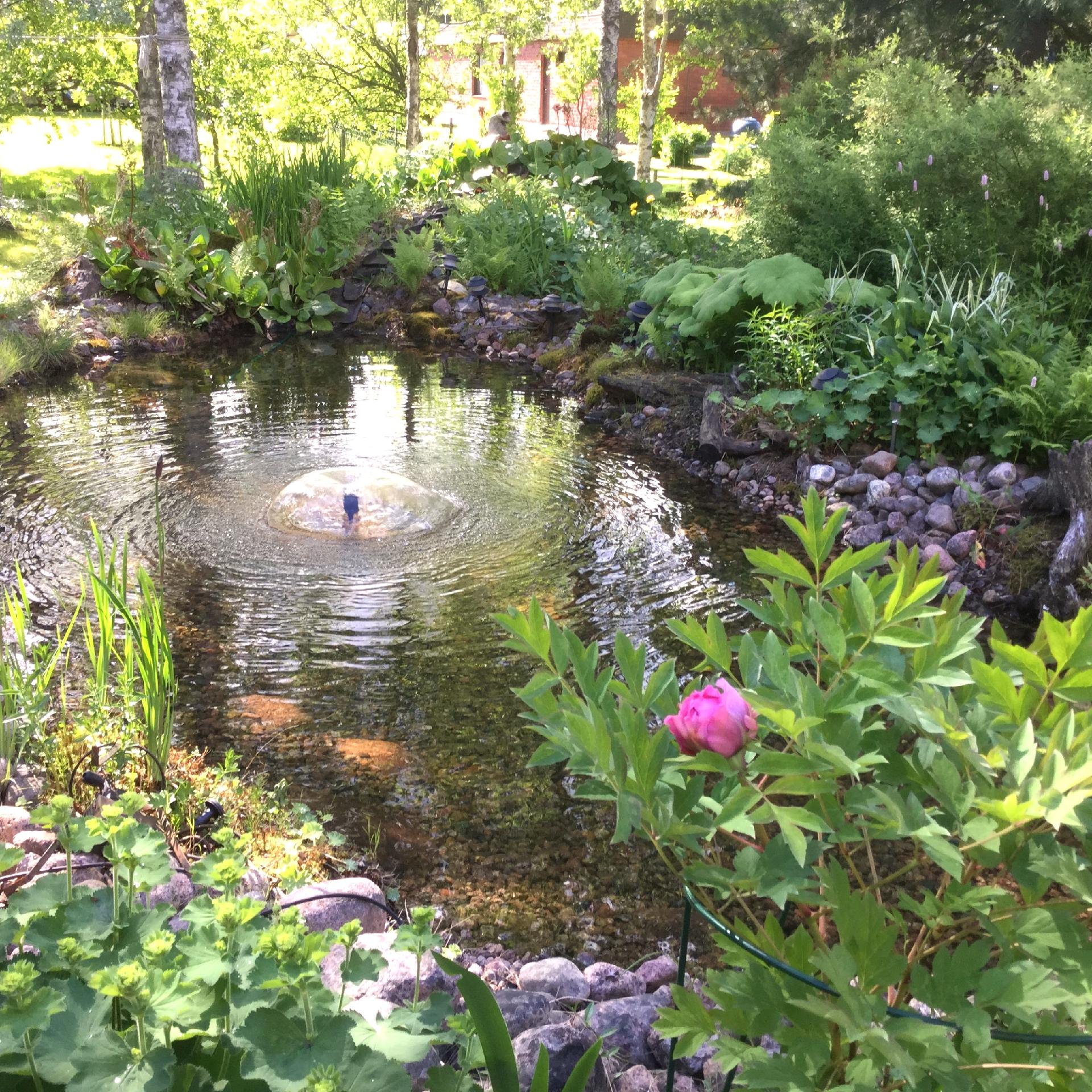 Kalliokatu 15, Kotkankallio, Kouvola