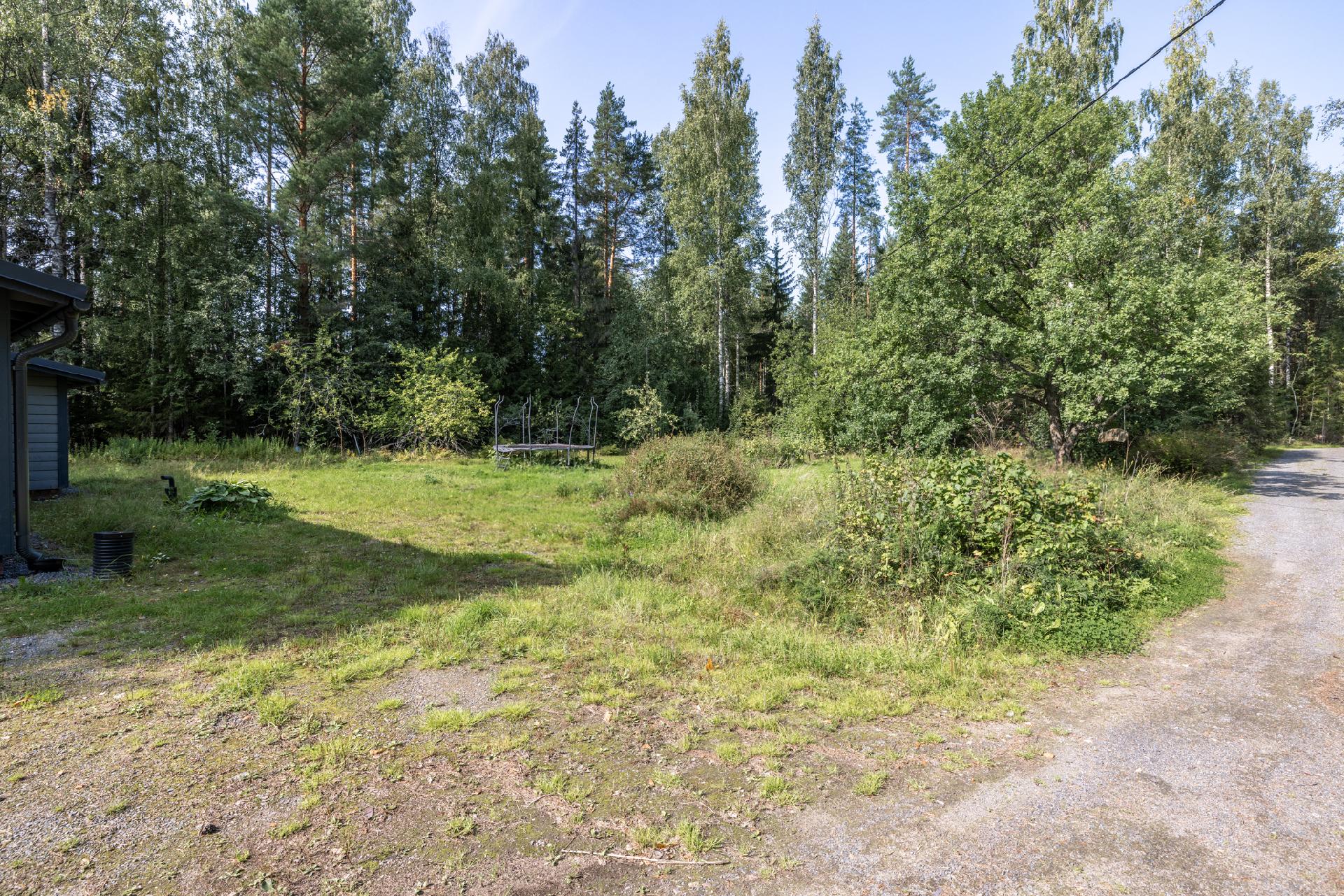 Takapiha on täynnä potentiaalia viherpeukaloille