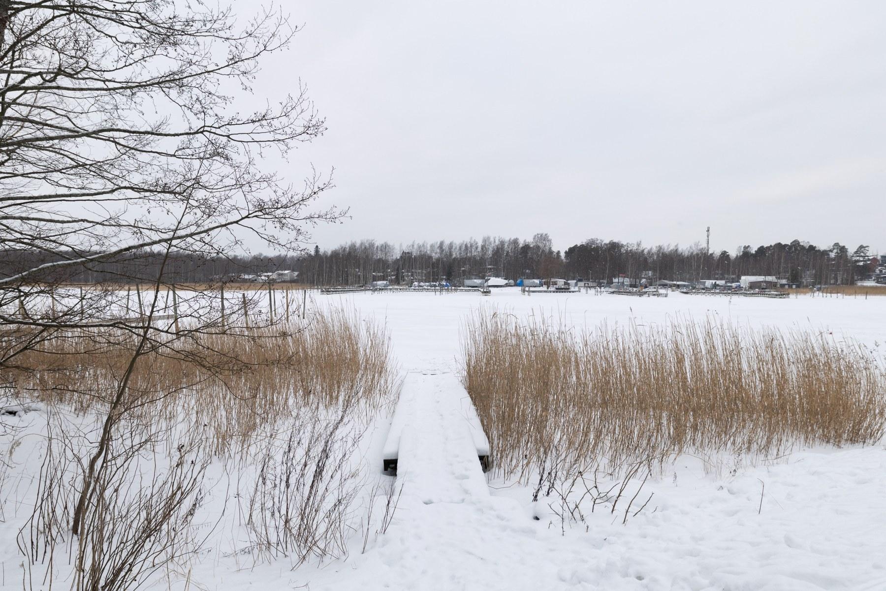 Taloyhtiön oma laituri