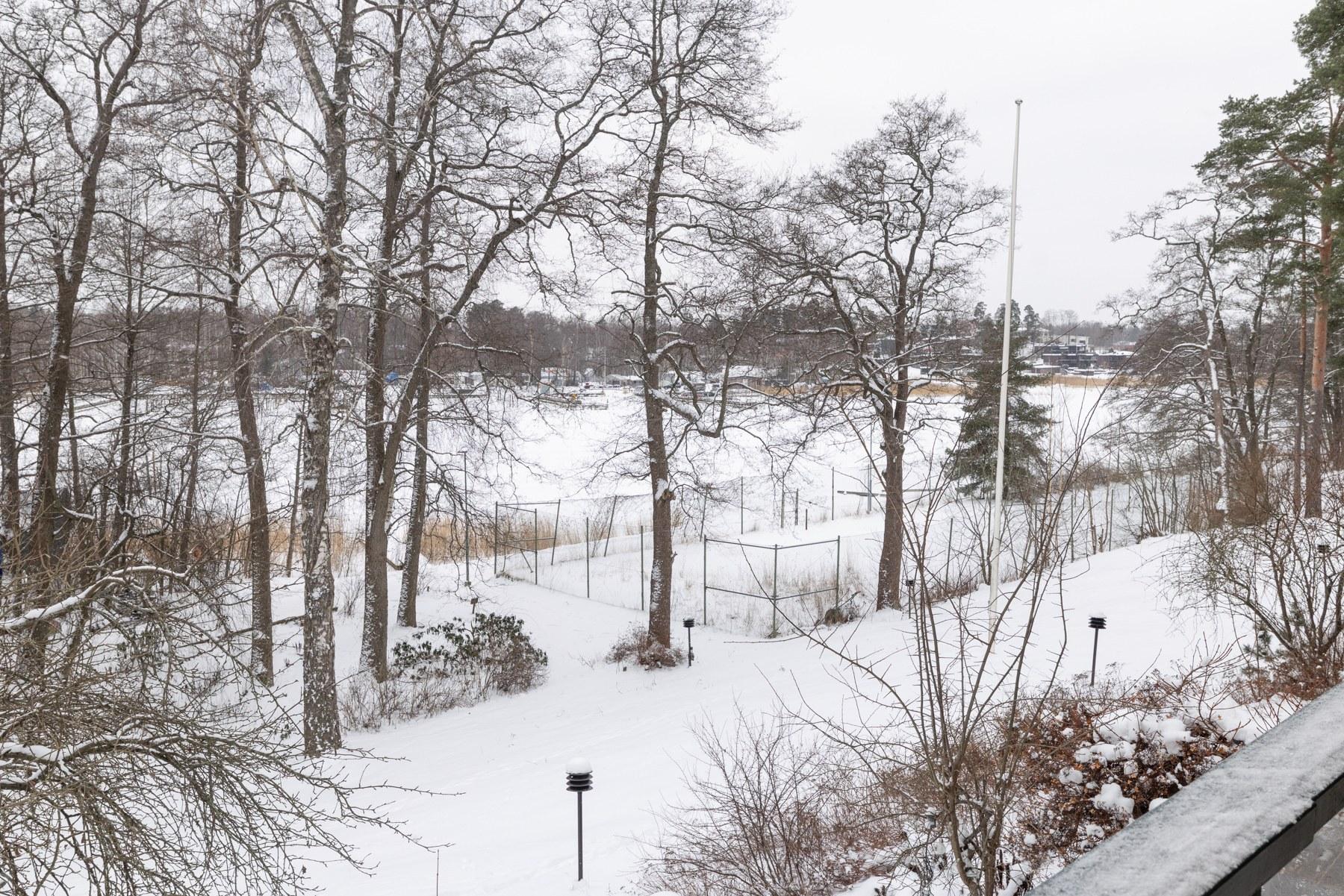Meren puoleista piha-aluetta - alhaalla, ennen merta, on naapurikiinteistön kanssa yhteiskäytössä oleva tenniskenttä