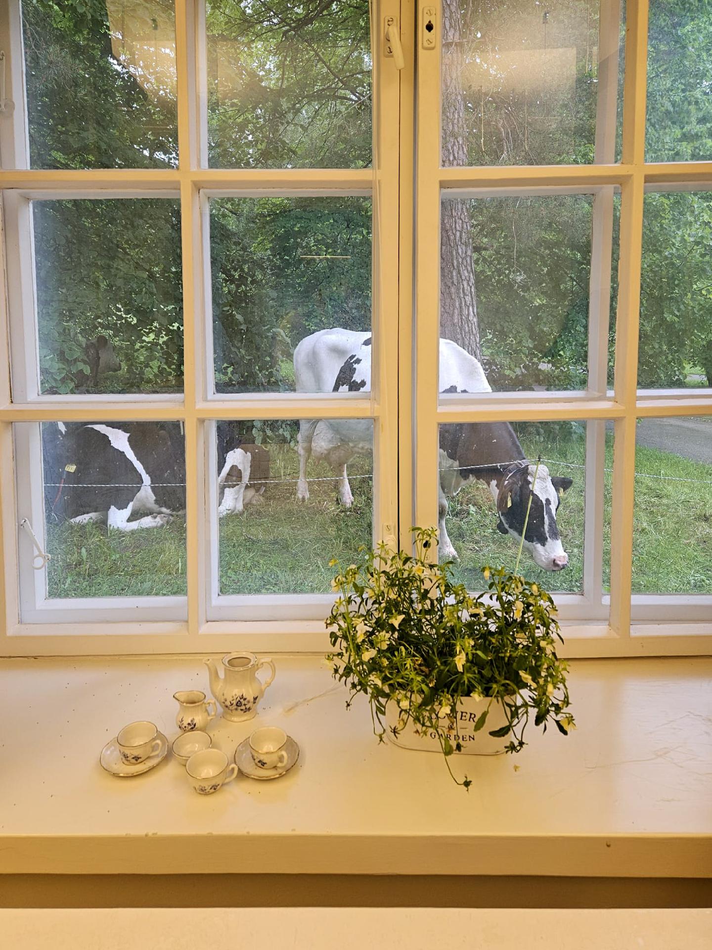 Kuruntie 980, Ylinen, Ylöjärvi