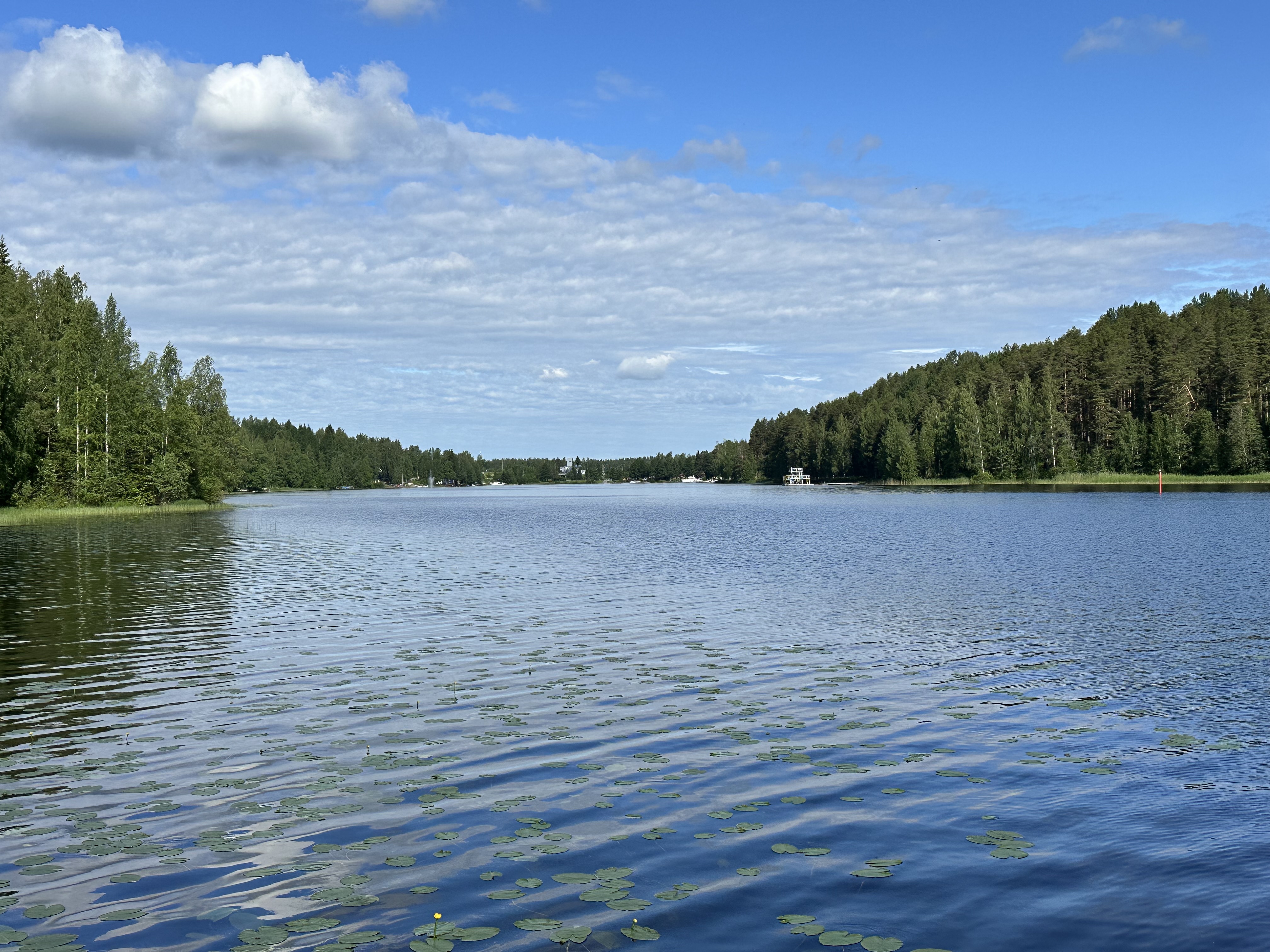 Viitostie 1385, Leppävirta, Leppävirta