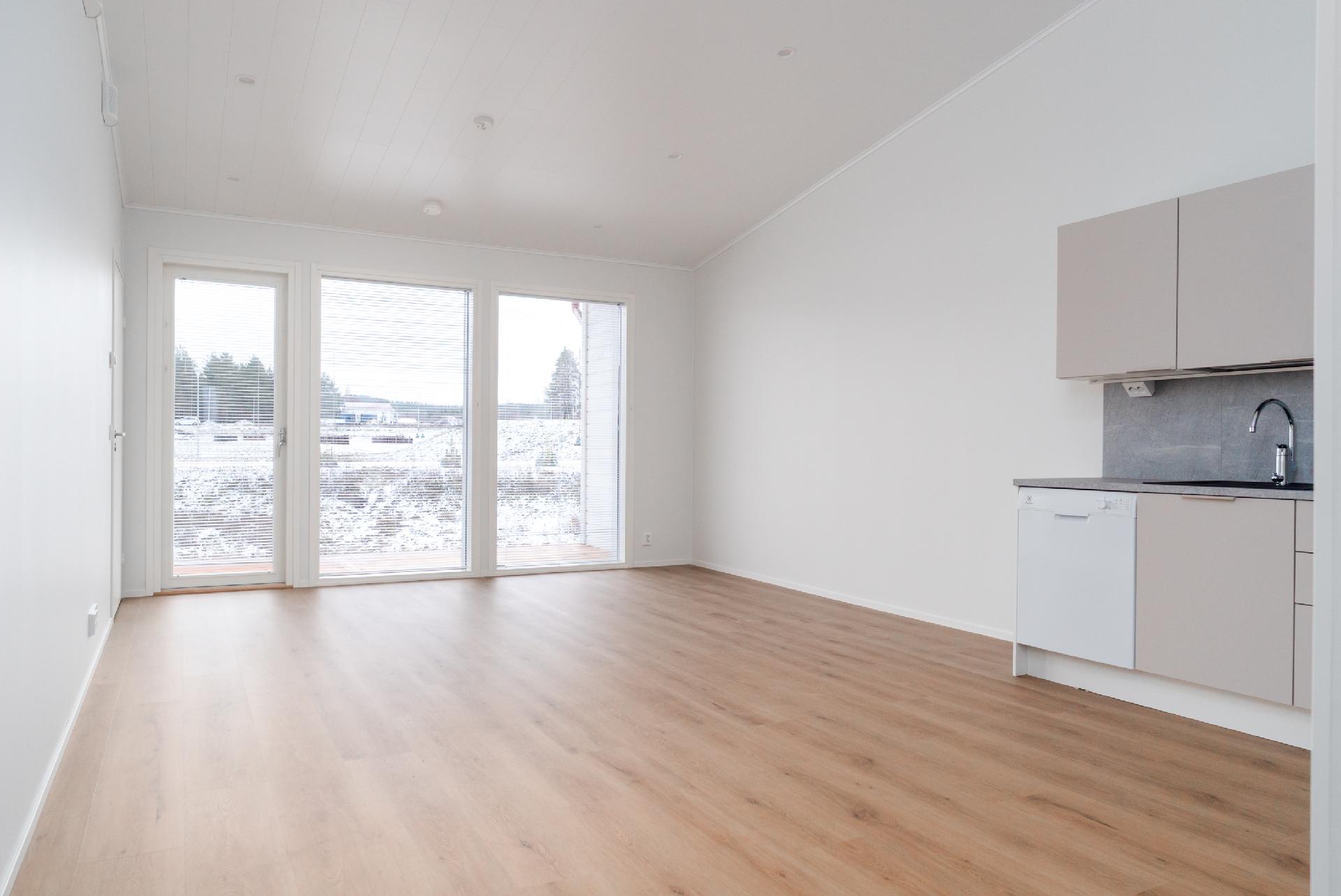 Olohuoneesta avautuu näkymä puistoalueen suuntaan