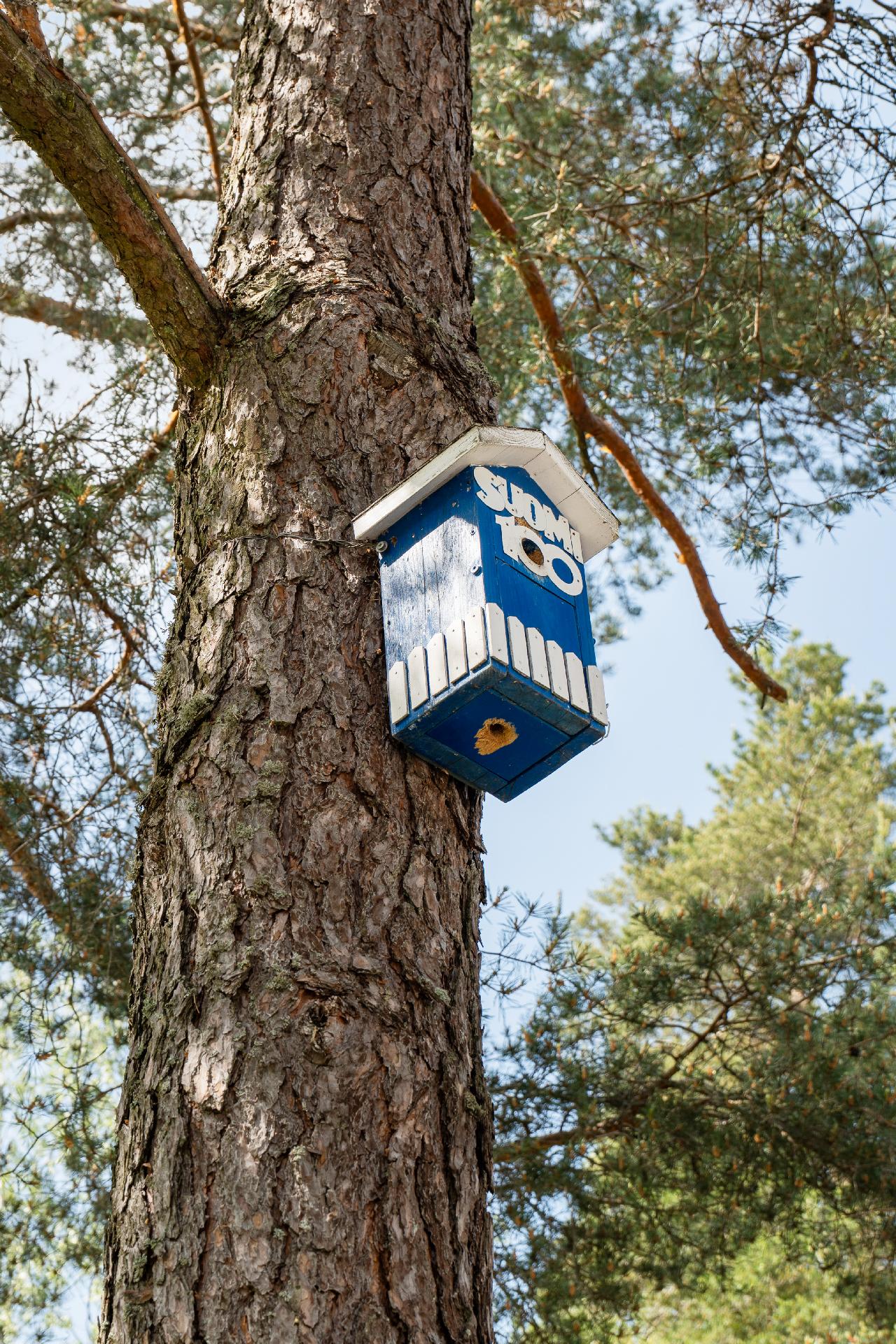 Koulumestarinkuja 6, Muurala, Espoo