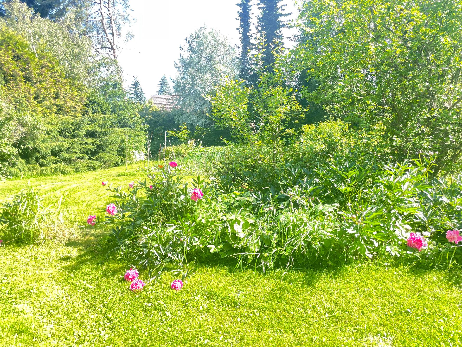 Vermlanninkuja 17, Vaala, Turku