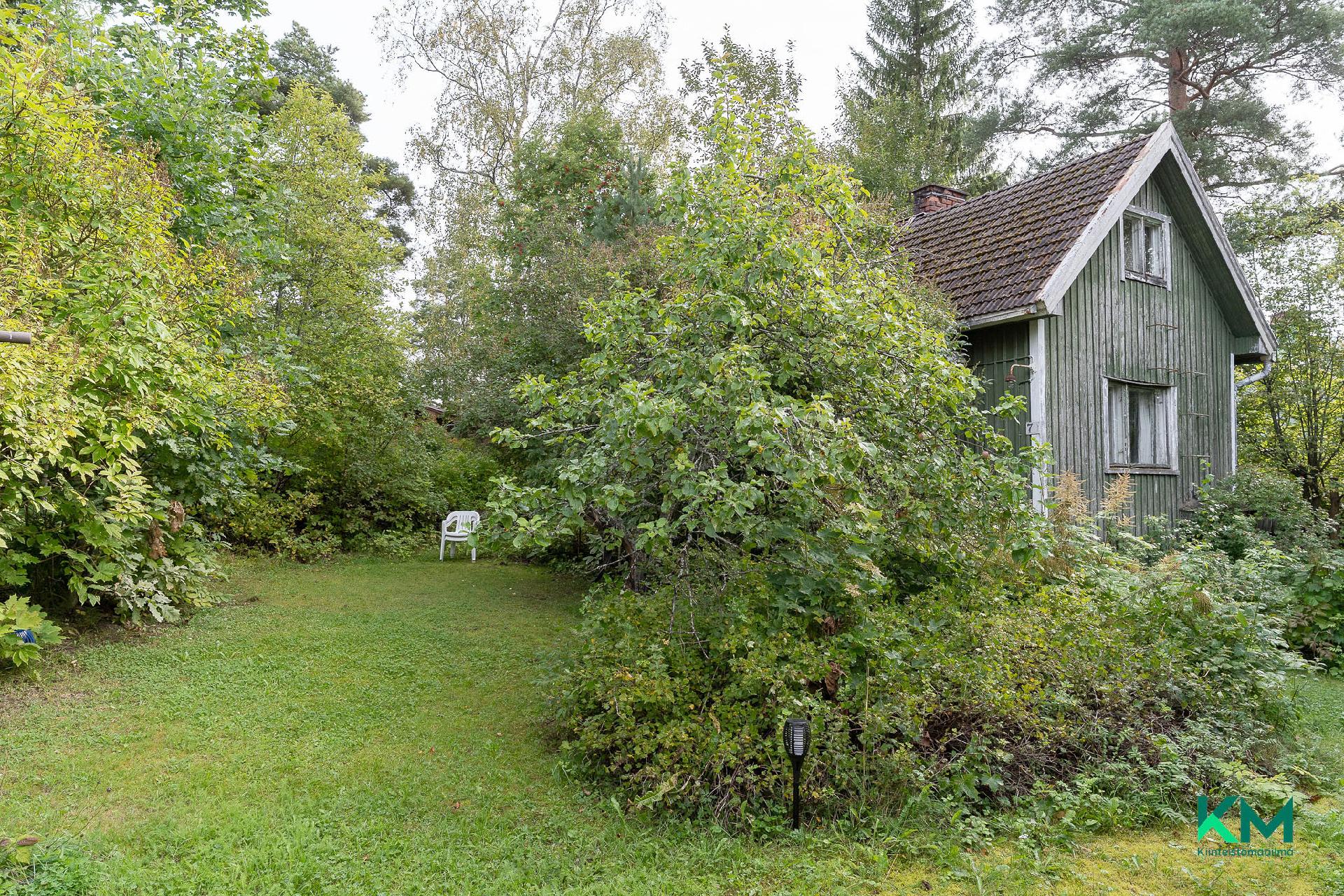 Iso piha, tontilla myös purkukuntoinen vanha asuinrakennus.