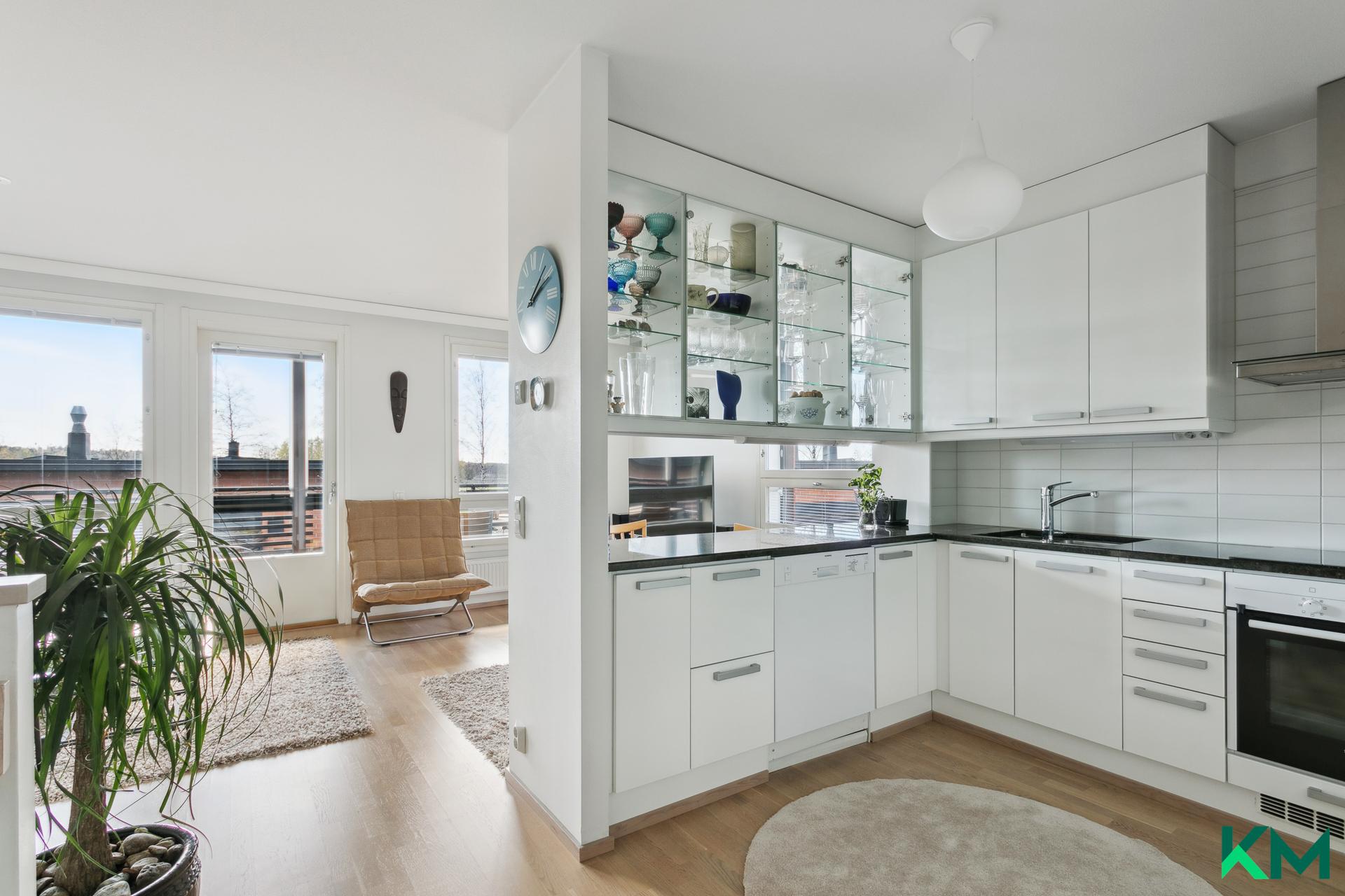 Keittiö- ja olohuone 