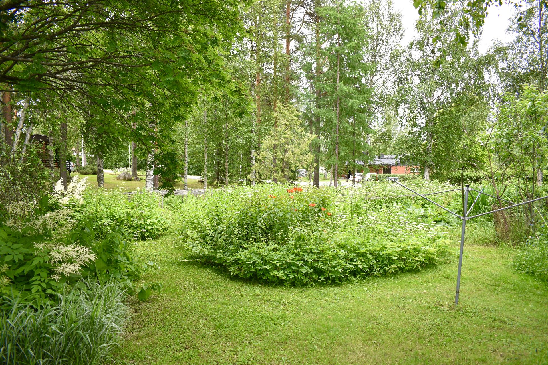 Sarakatu 8, Keskusta, Sotkamo