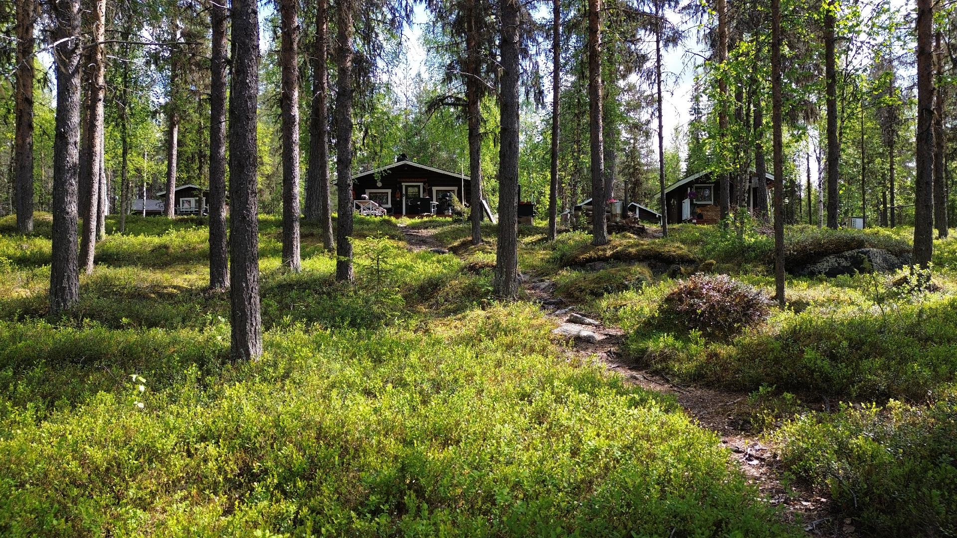 Reponiementie 1465, Muonio