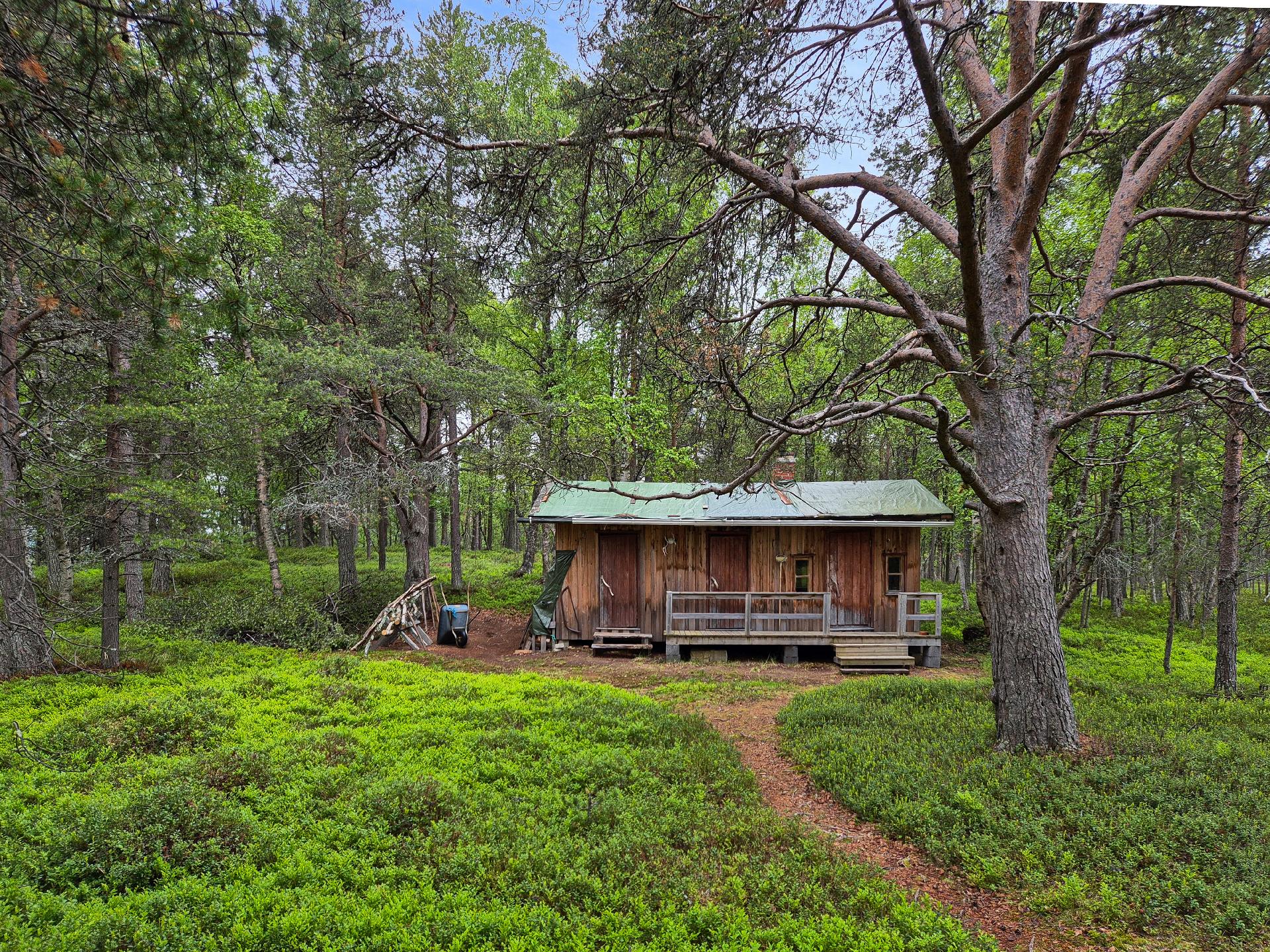 Piharakennus, jossa sauna, kamari ja varastotila.