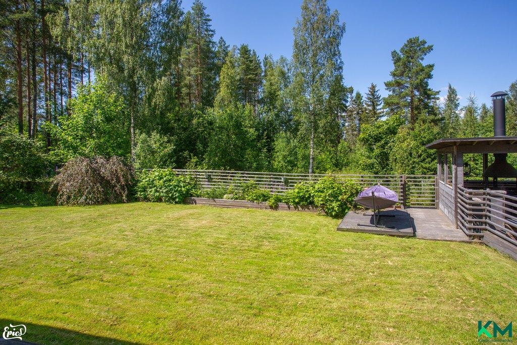 aidattu takapihan nurmi