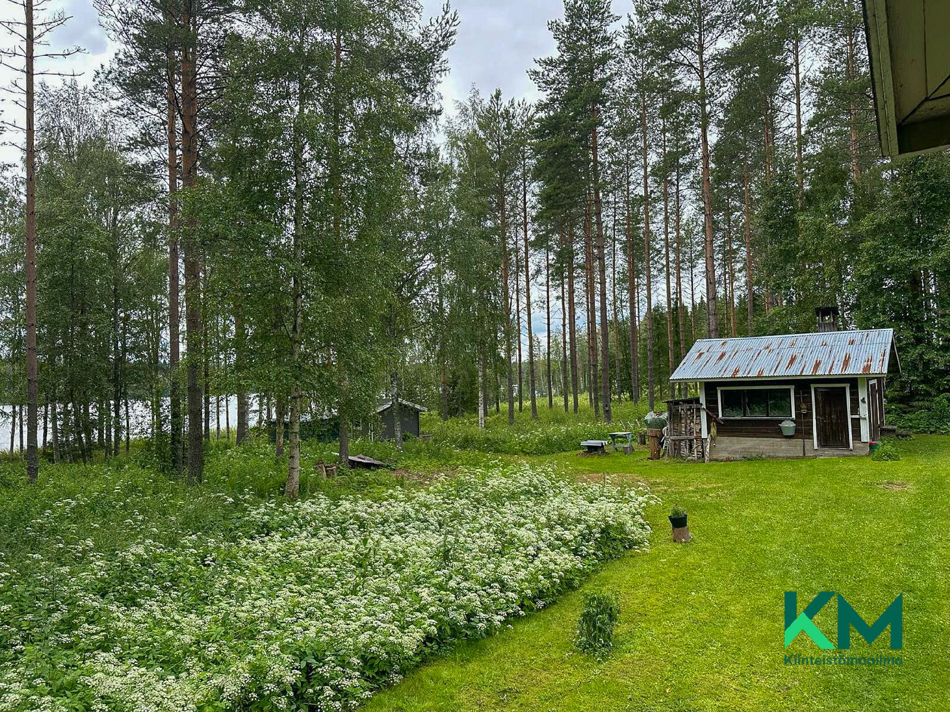 Luotojärventie 278, Kerimäki, Savonlinna