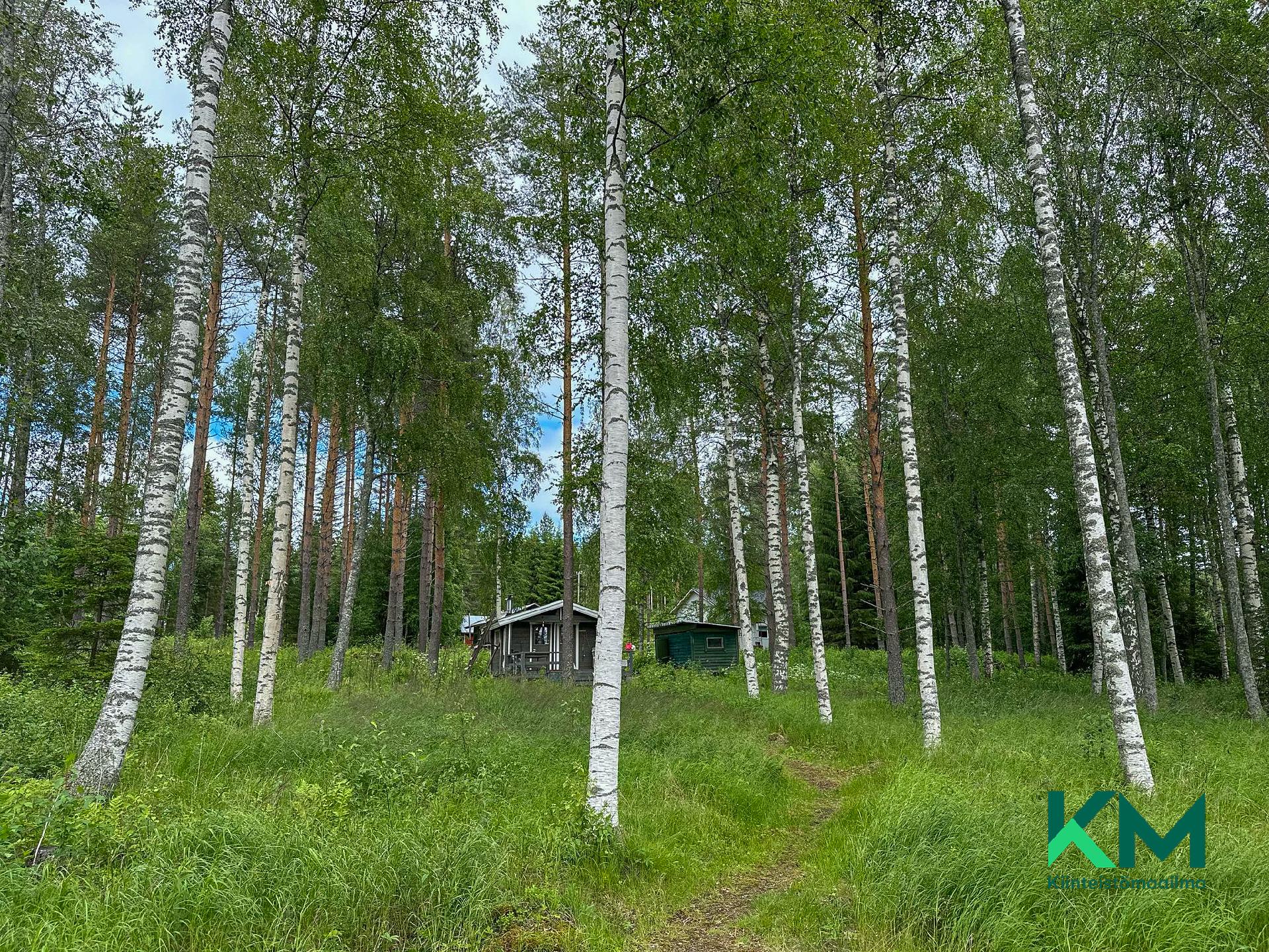 Luotojärventie 278, Kerimäki, Savonlinna