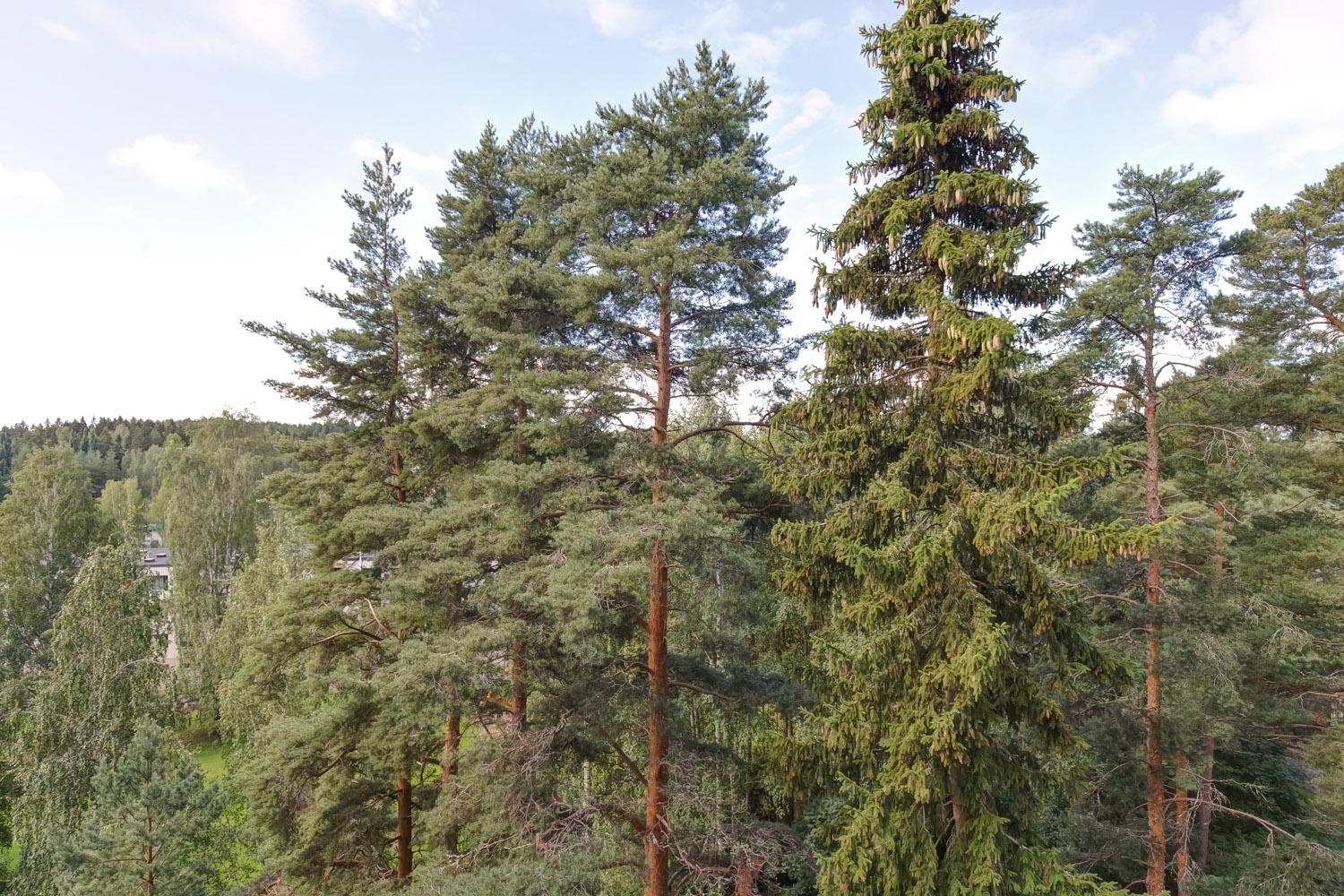 Lielahdenkatu 27, Lentävänniemi, Tampere