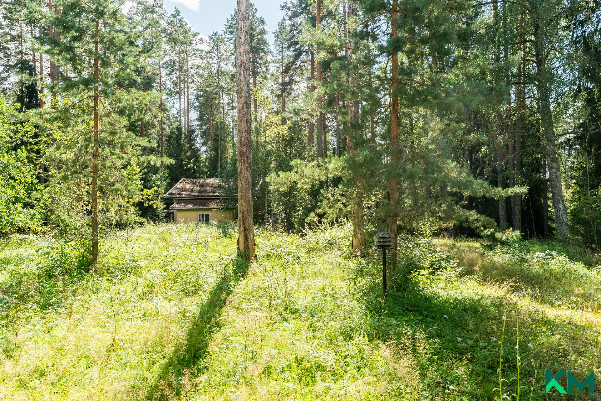 Ilmiijärvi, Ilmilinnantie 36, Ehtamo, Köyliö