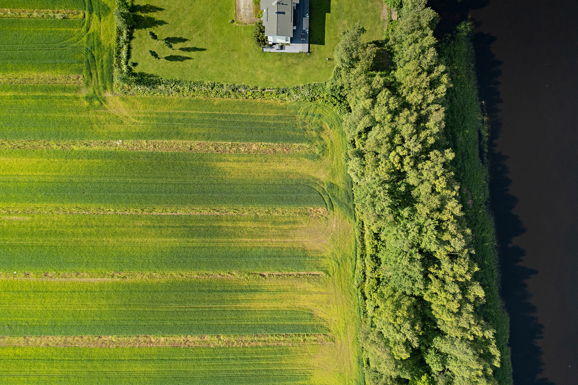 Örönkuja 45, Muhos