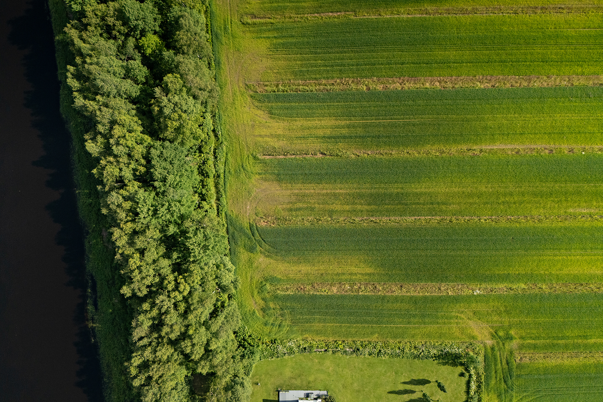 Örönkuja 45, Muhos