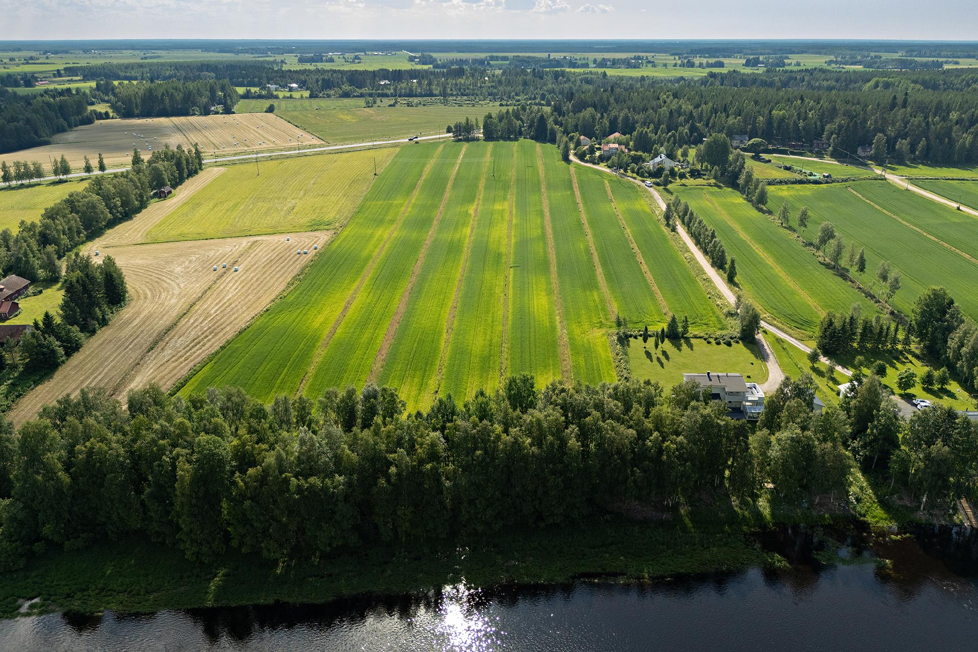 Örönkuja 45, Muhos