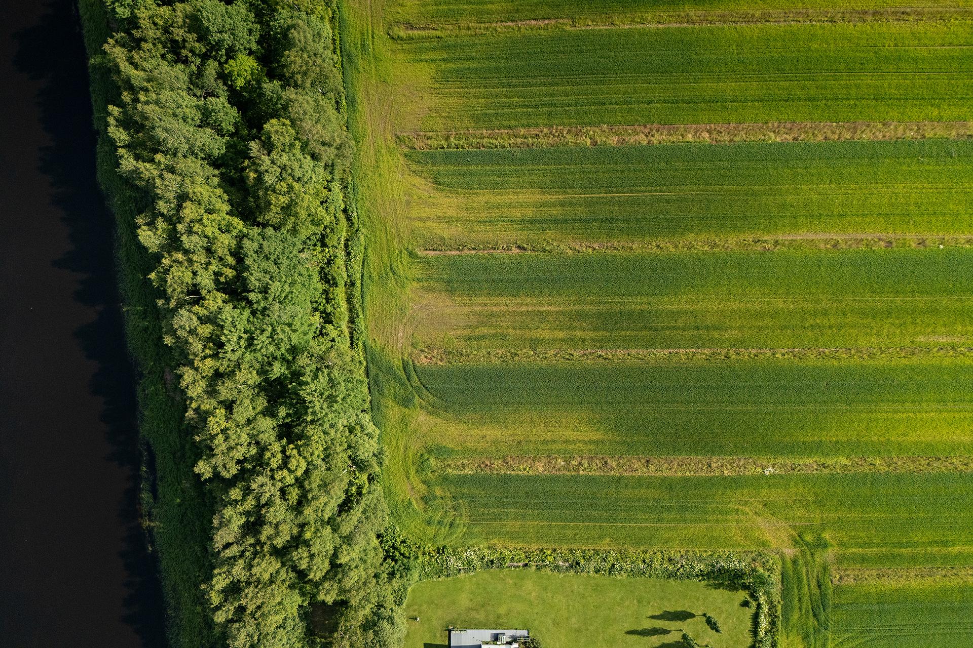 Örönkuja 45, Muhos