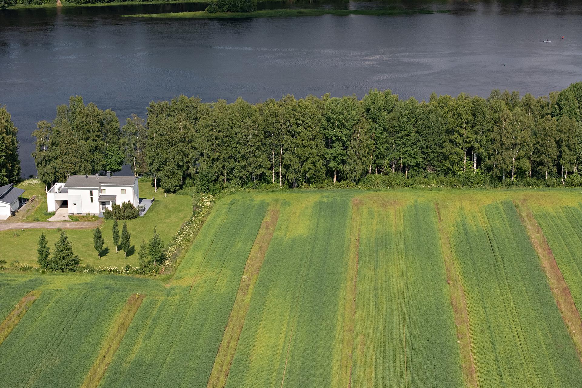 Örönkuja 45, Muhos