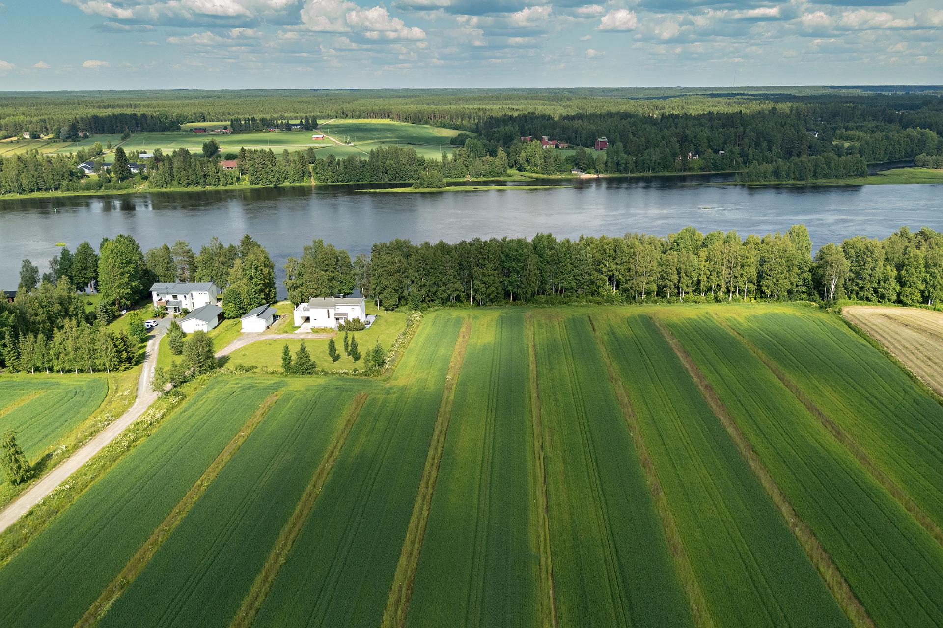 Örönkuja 45, Muhos