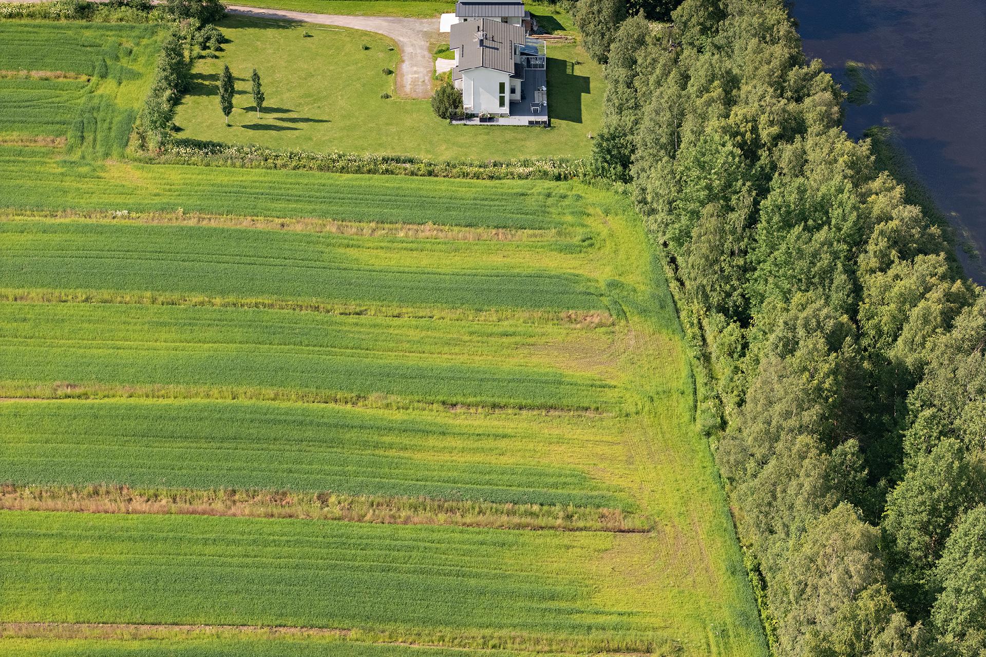 Örönkuja 45, Muhos