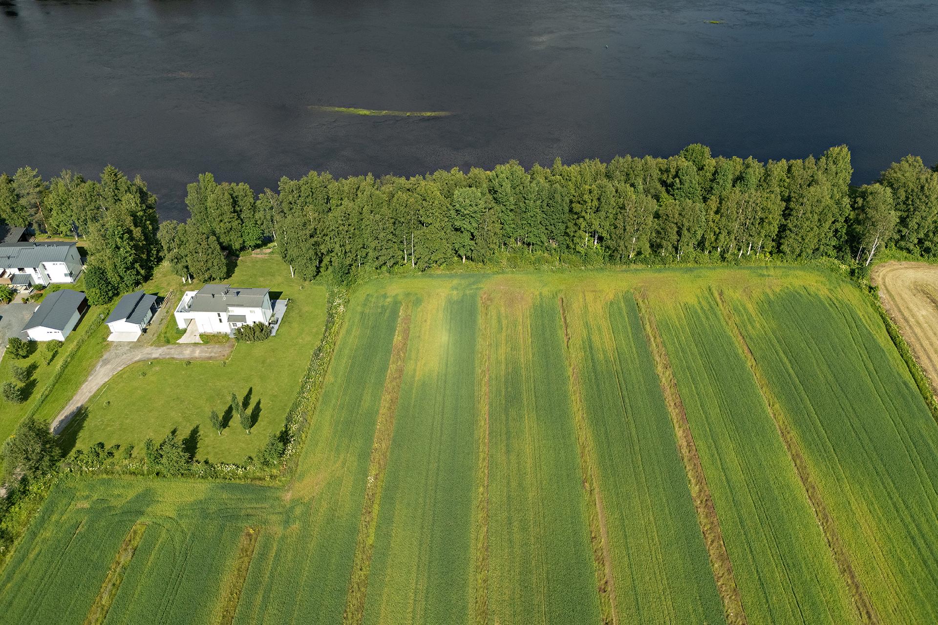 Örönkuja 45, Muhos