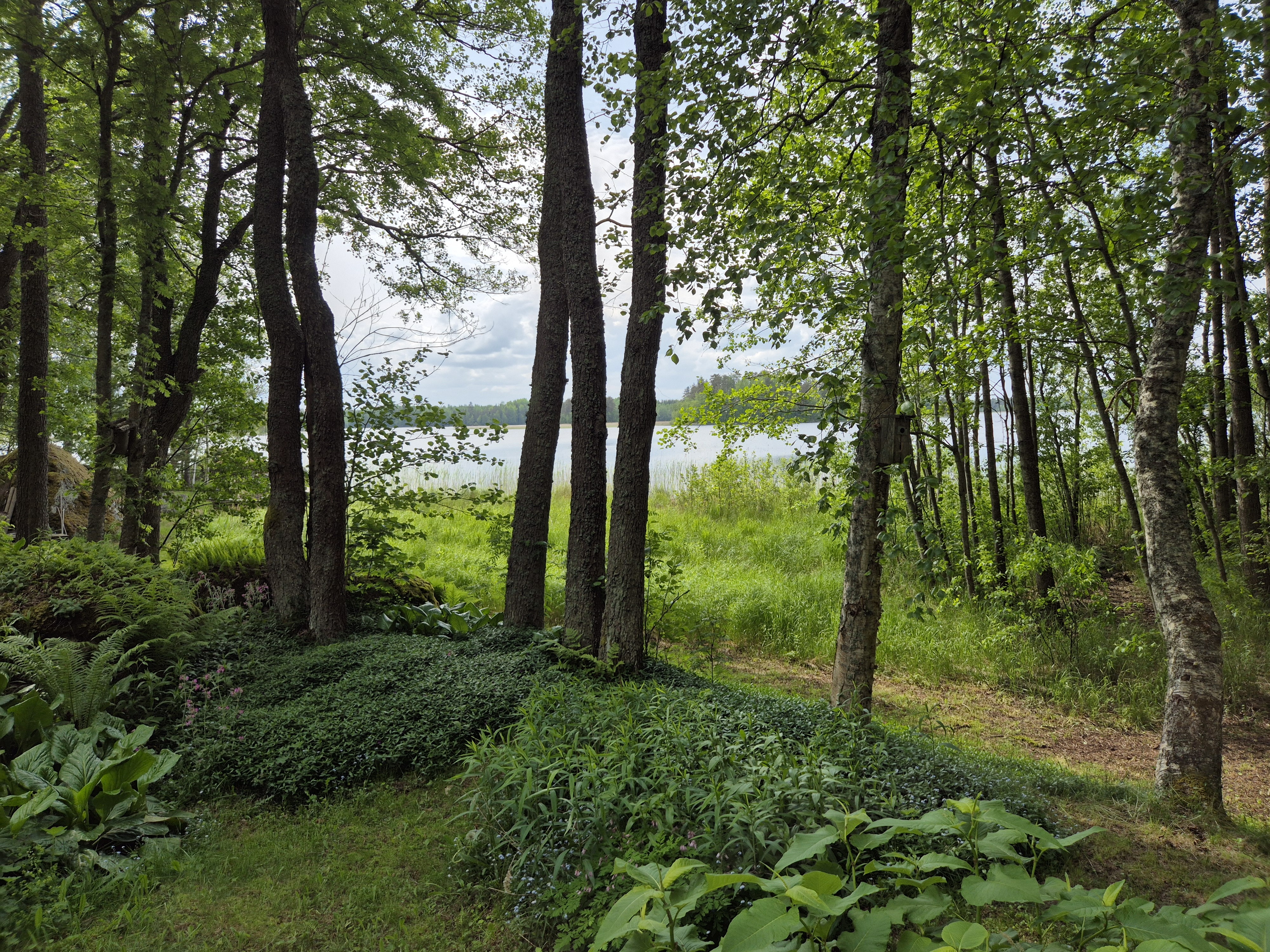 Katikkasaari 37, Jurvala, Luumäki