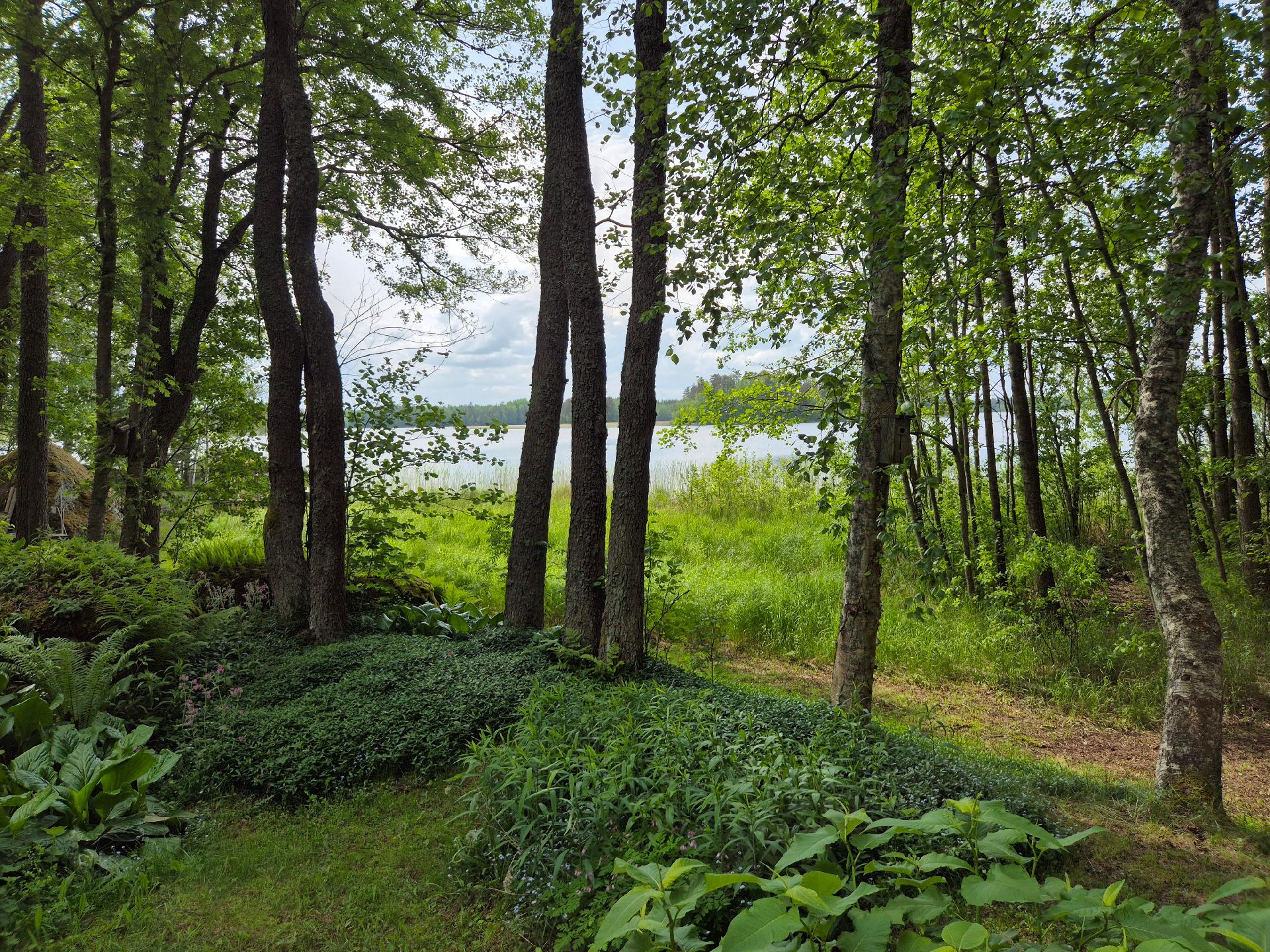 Katikkasaari 37, Jurvala, Luumäki