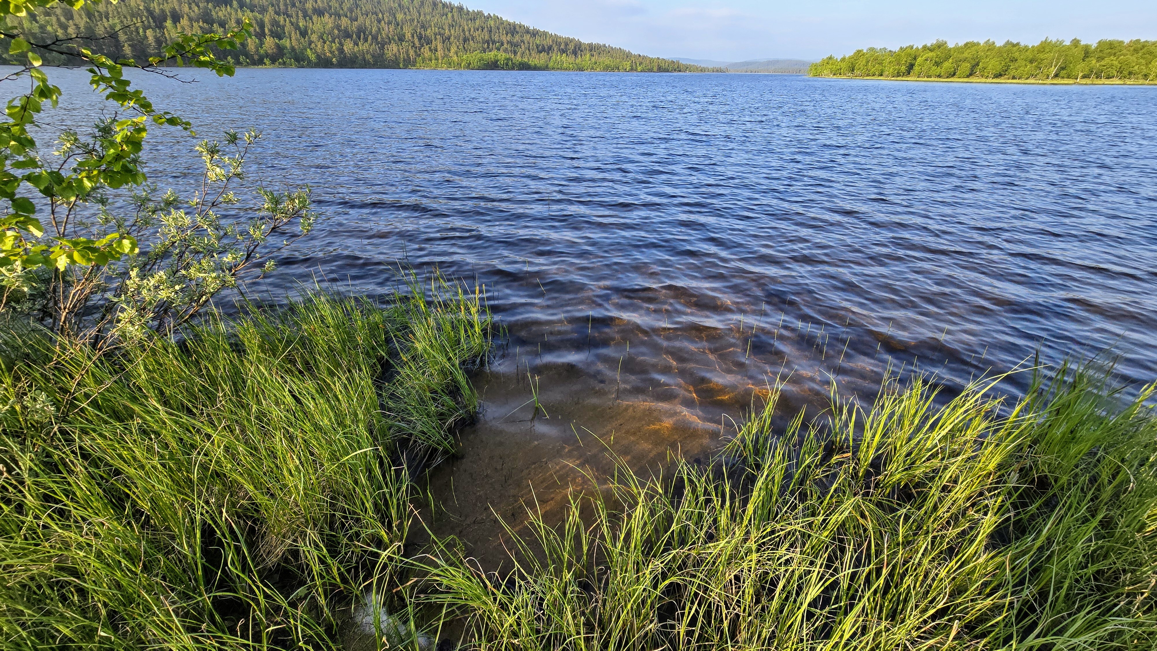 Ranta hiekkapohjaista ja hieman mutaa/hummusta hiekan päällä