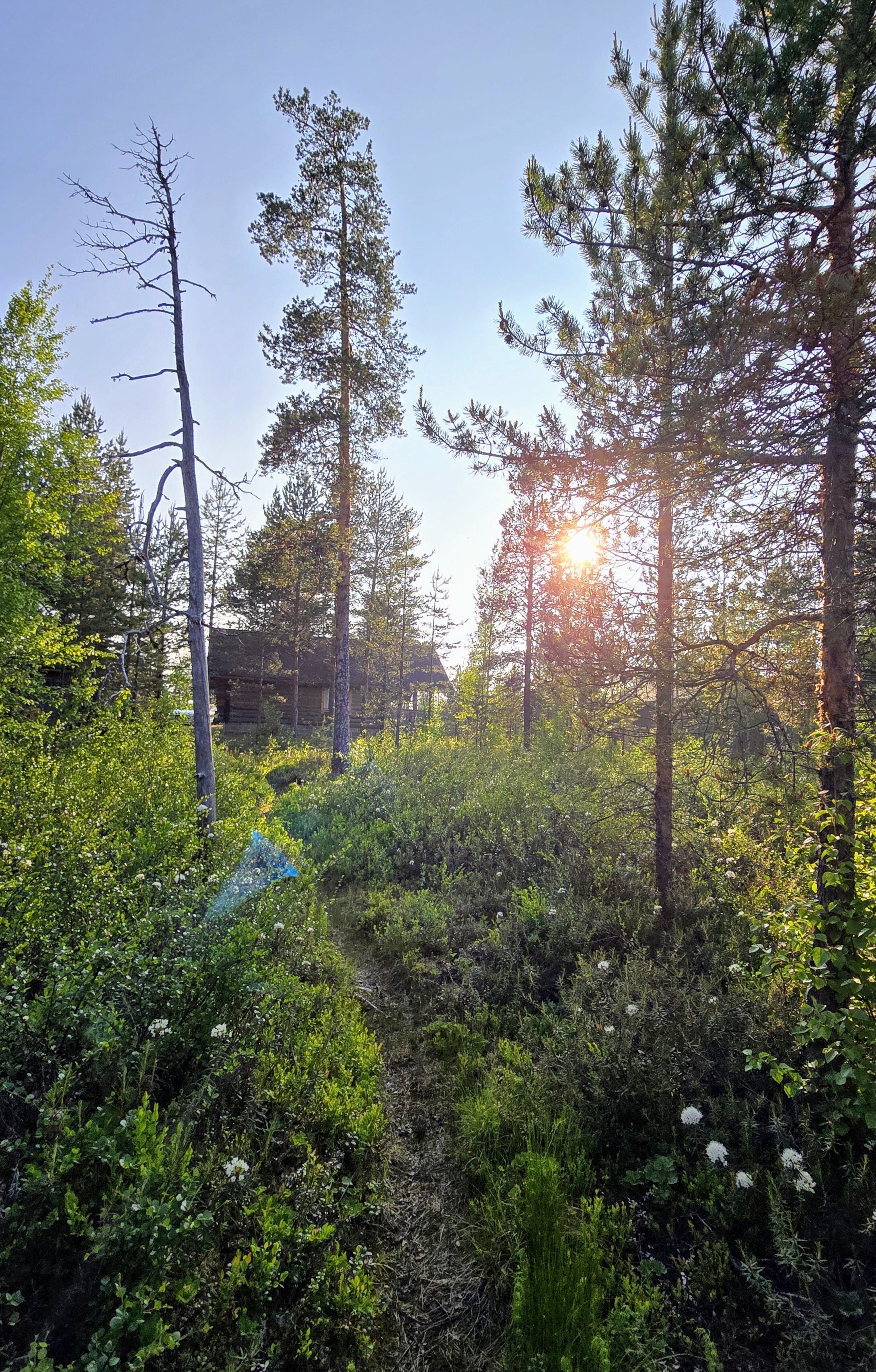 Näkymiä rannasta kohti mökkiä
