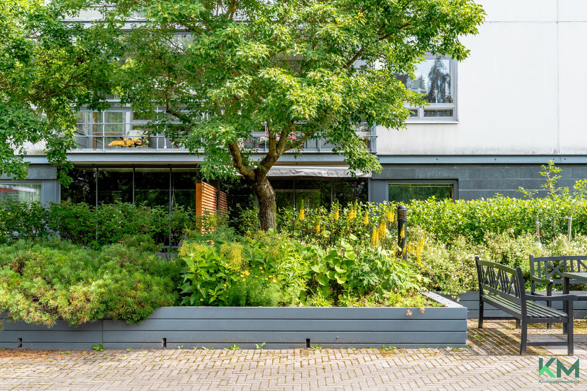 Terassin edessä sijaitseva istutusalue tuo vehreyttä ja näkösuojaa.