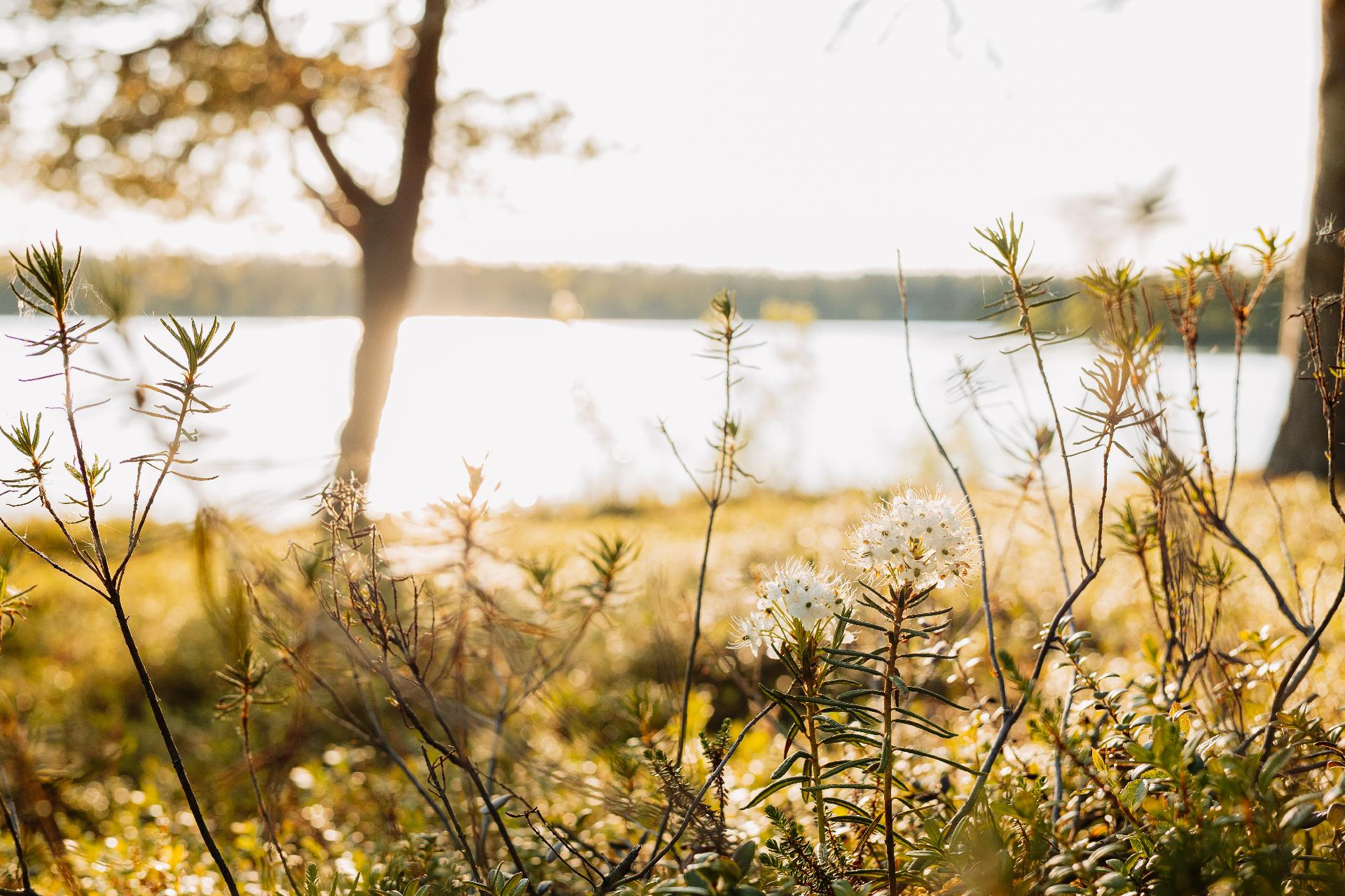 Kaamasentie 3001, Kaamanen, Inari