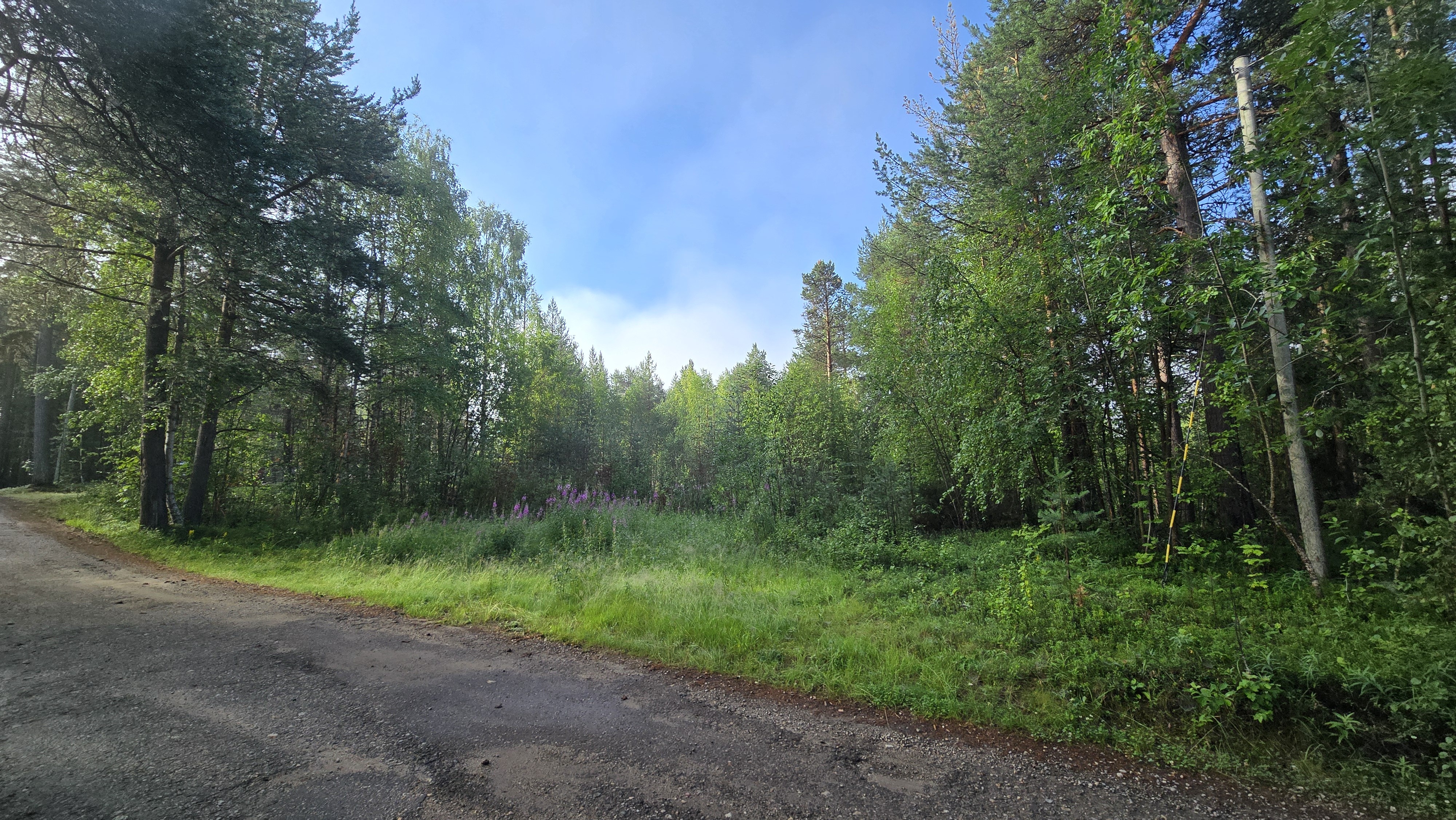 Tontin yläosassa tasainen kohta