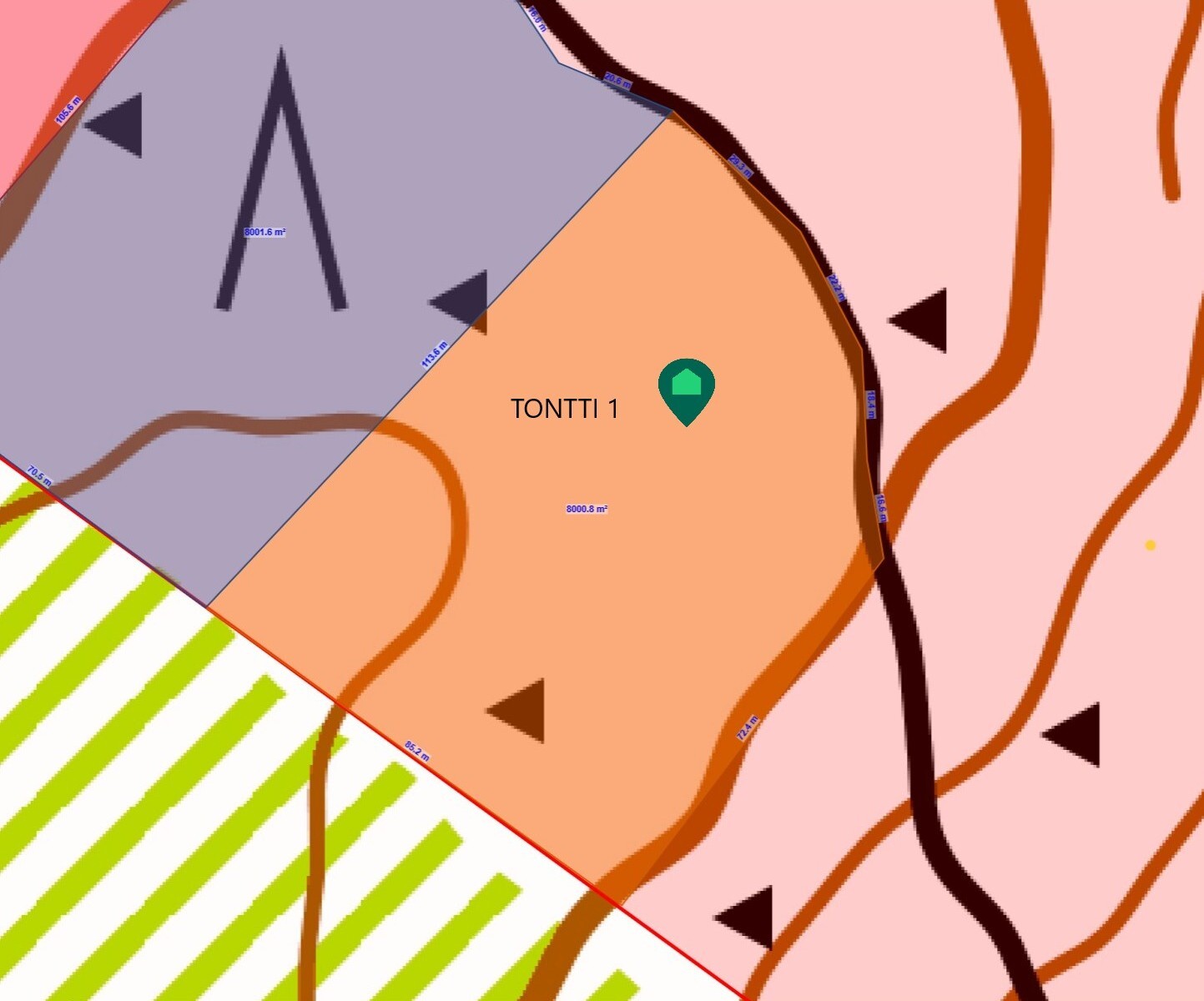 Tontti 1 (n. 8 000 m2)
