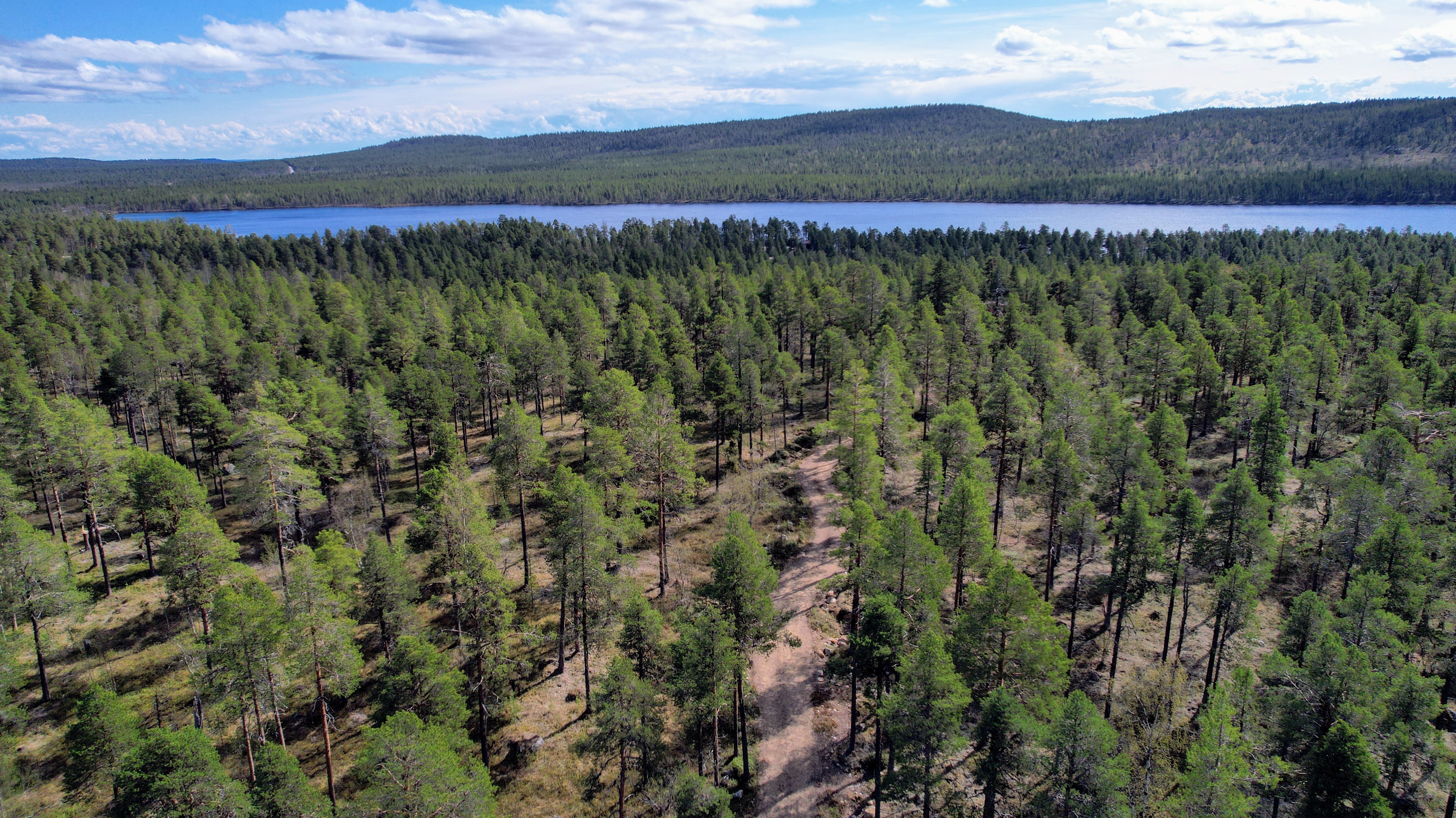 Näkymät Konesjärven suuntaan