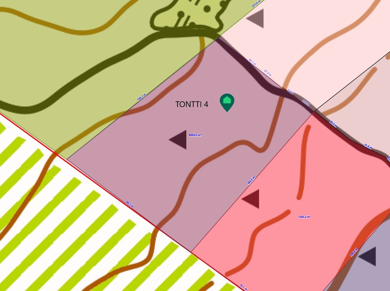 Tontti 4 (n. 8 000 m2)