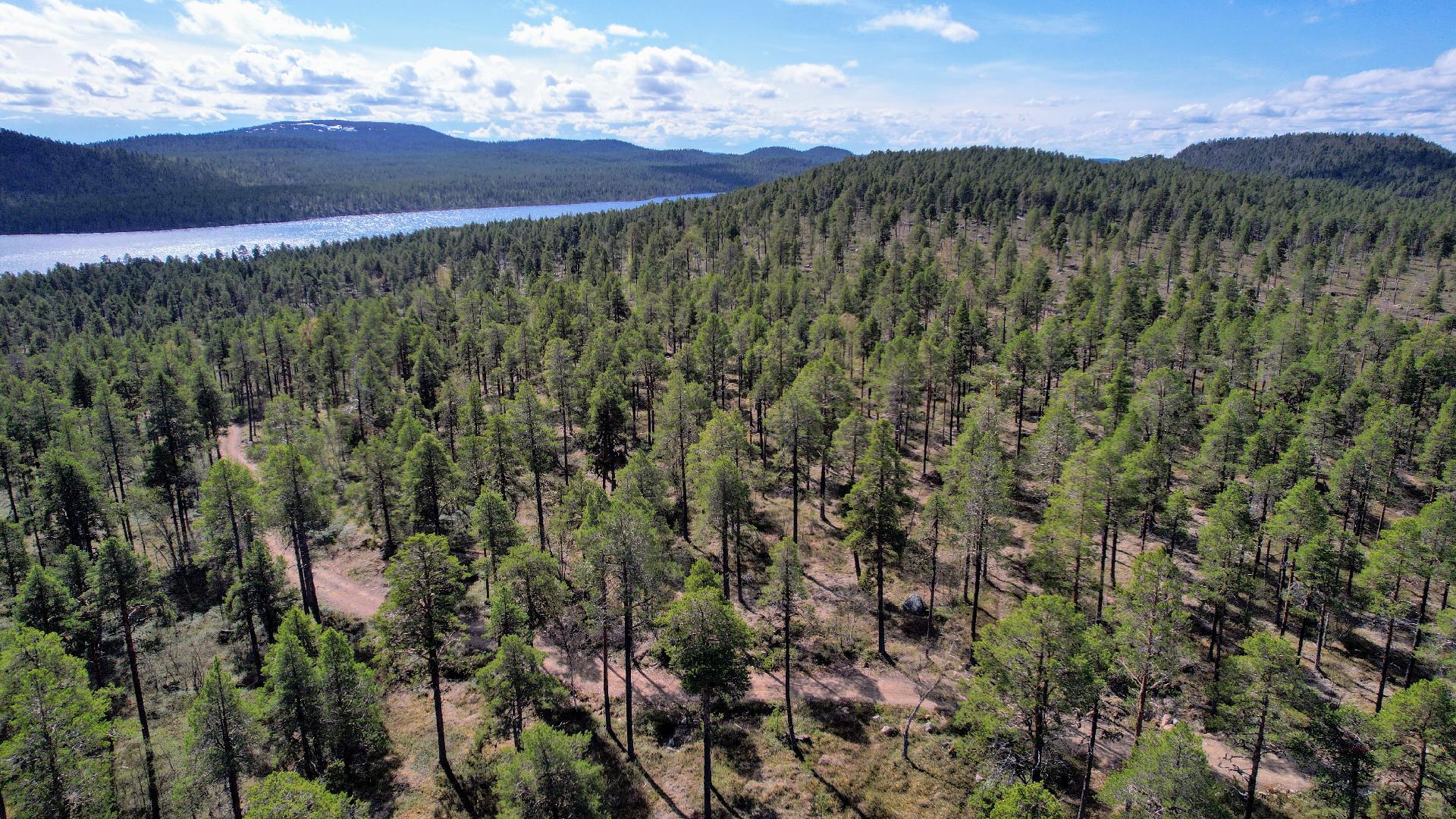 Näkymät Konesjärven ja Otsamon suuntaan