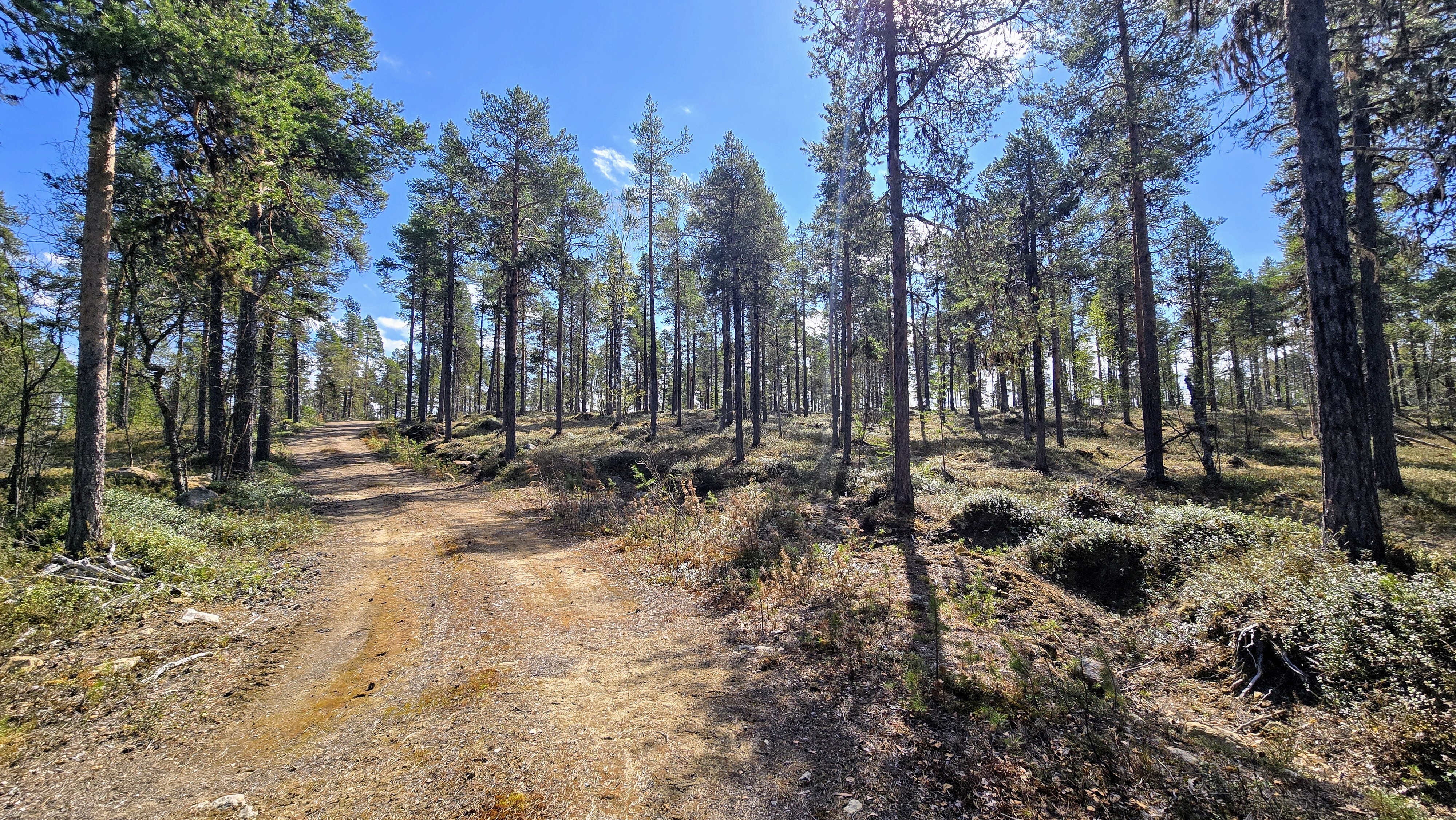 Konesjärventie 81, Inari, Inari