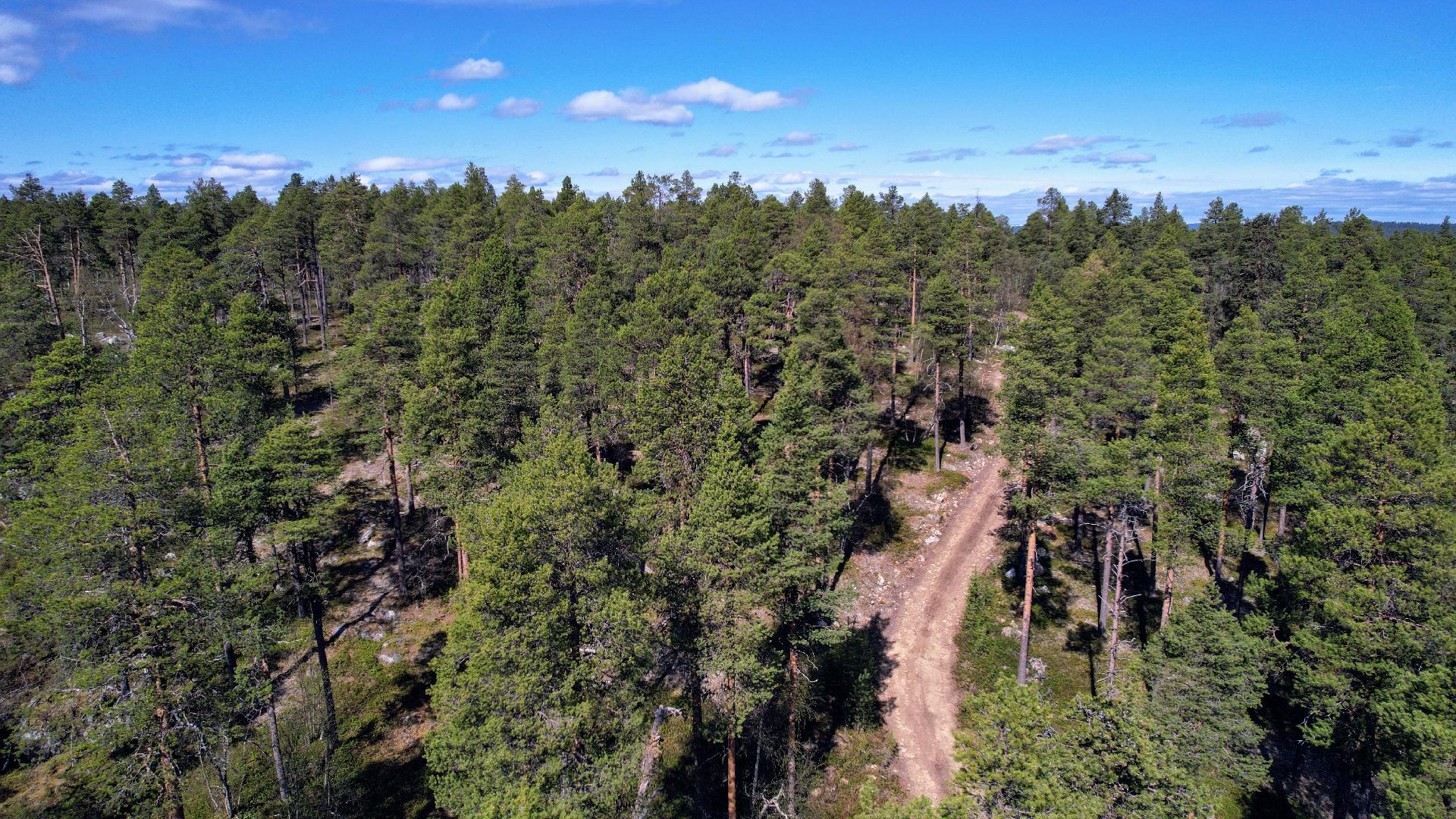 Konesjärventie 81, Inari, Inari