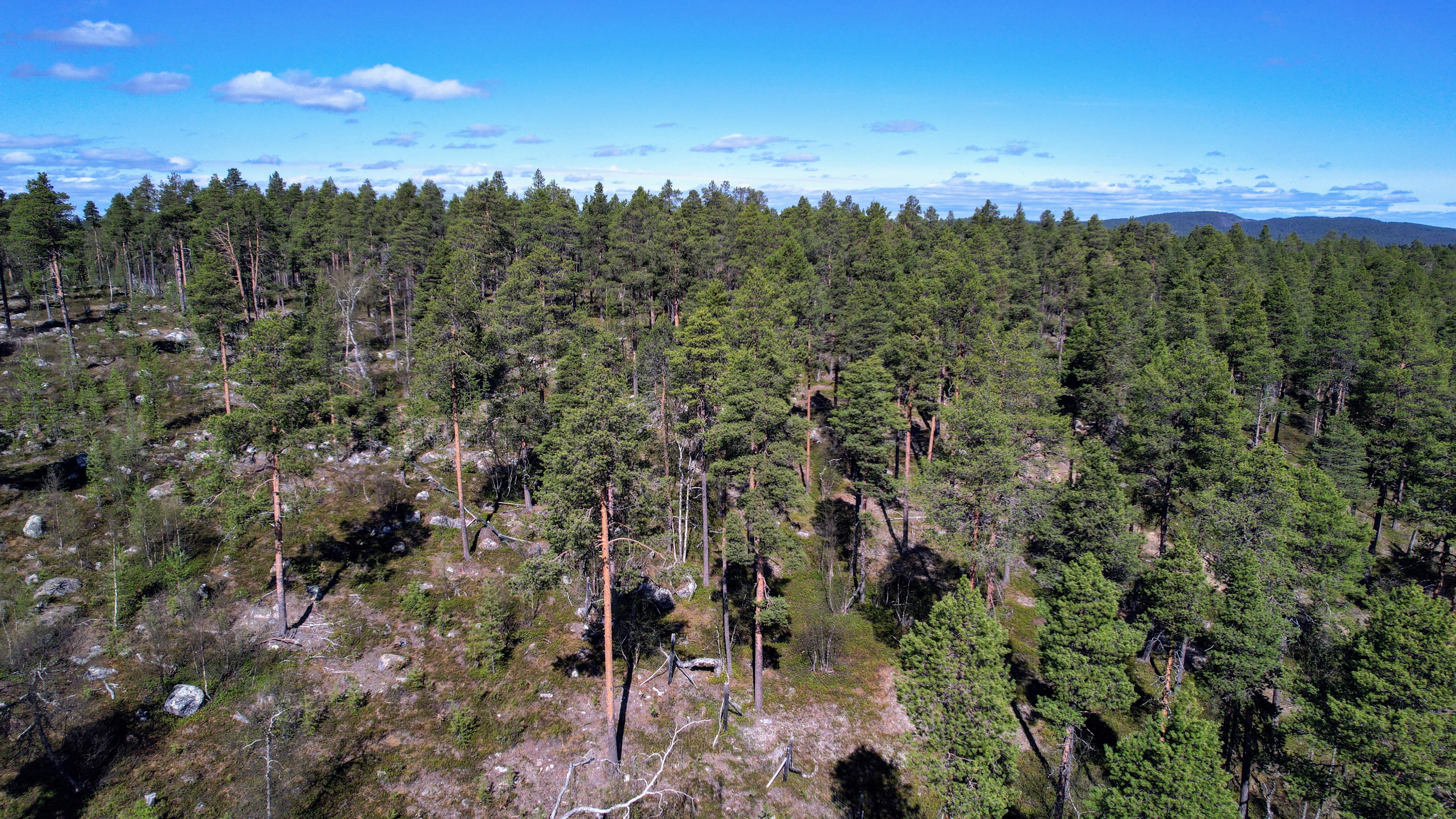 Konesjärventie 81, Inari, Inari