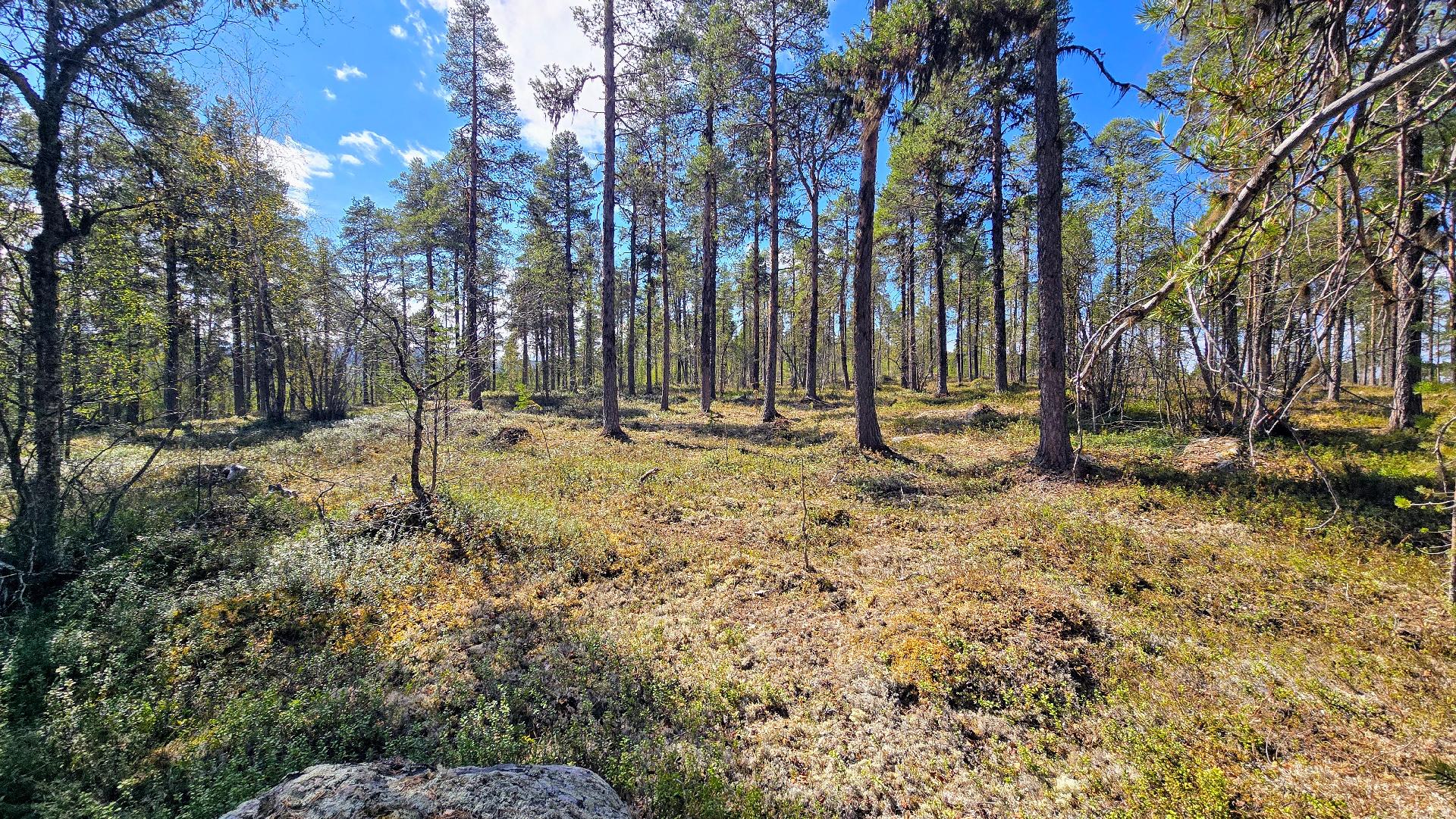 Konesjärventie 81, Inari, Inari