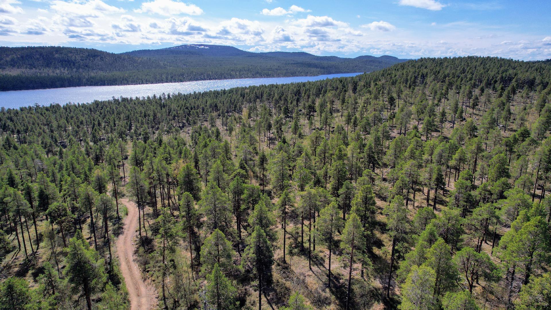 Näkymät Konesjärven ja Otsamon suuntaan