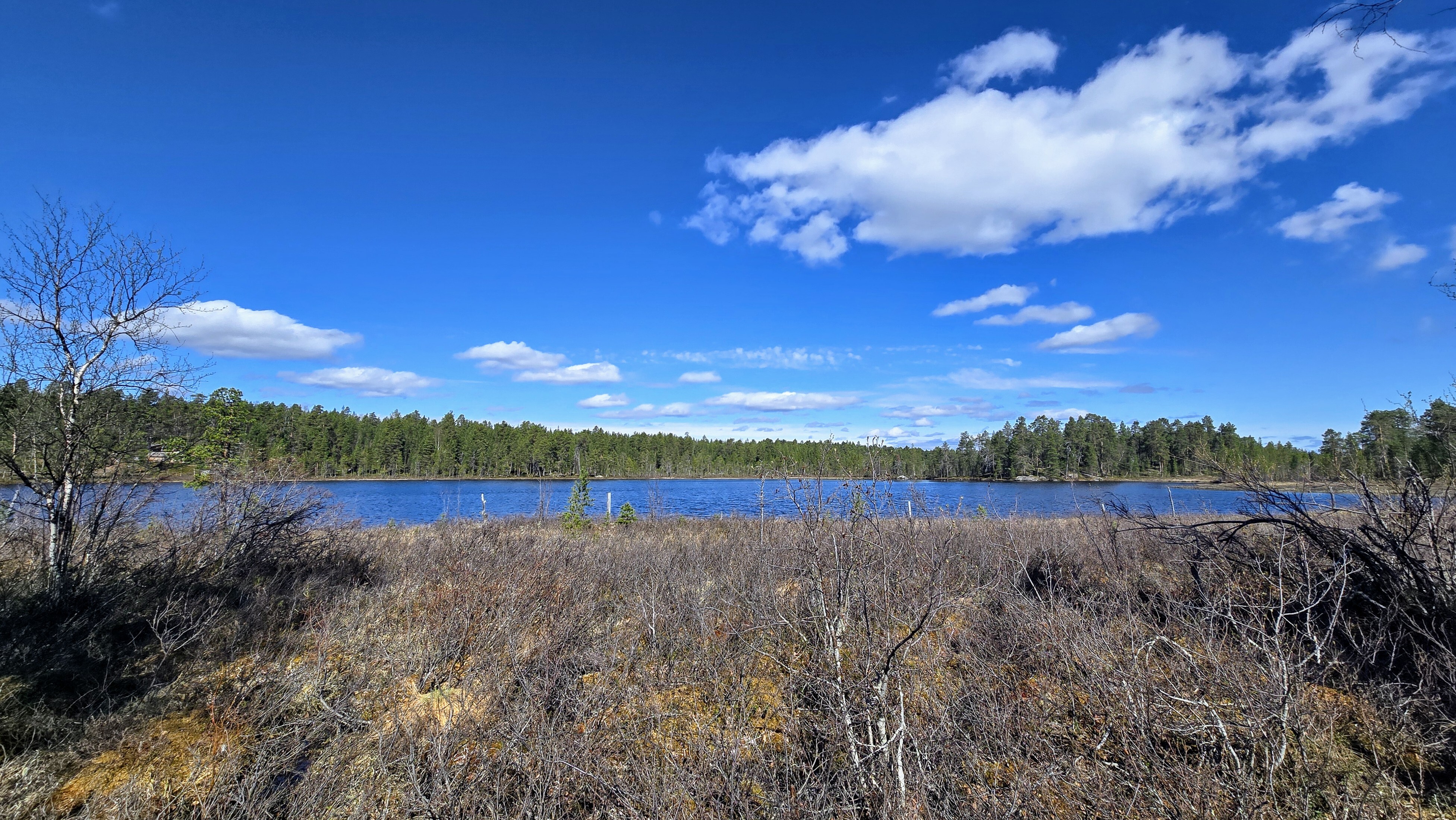 Oma ranta Ahvenjärveen