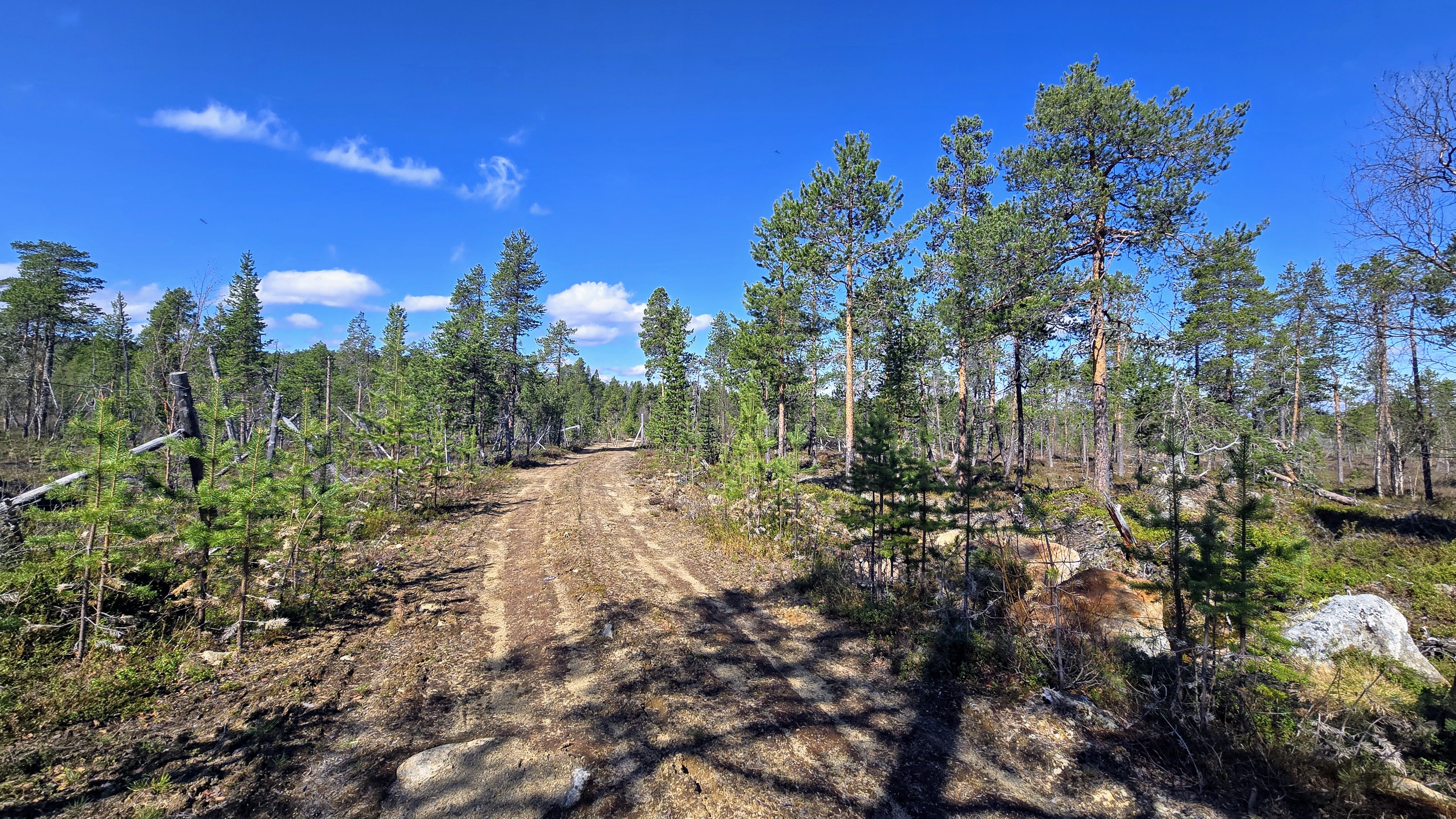 Länsilaidalla naapurikiinteistölle johtava tie, joka on osittain myytävän määräalan alueella.